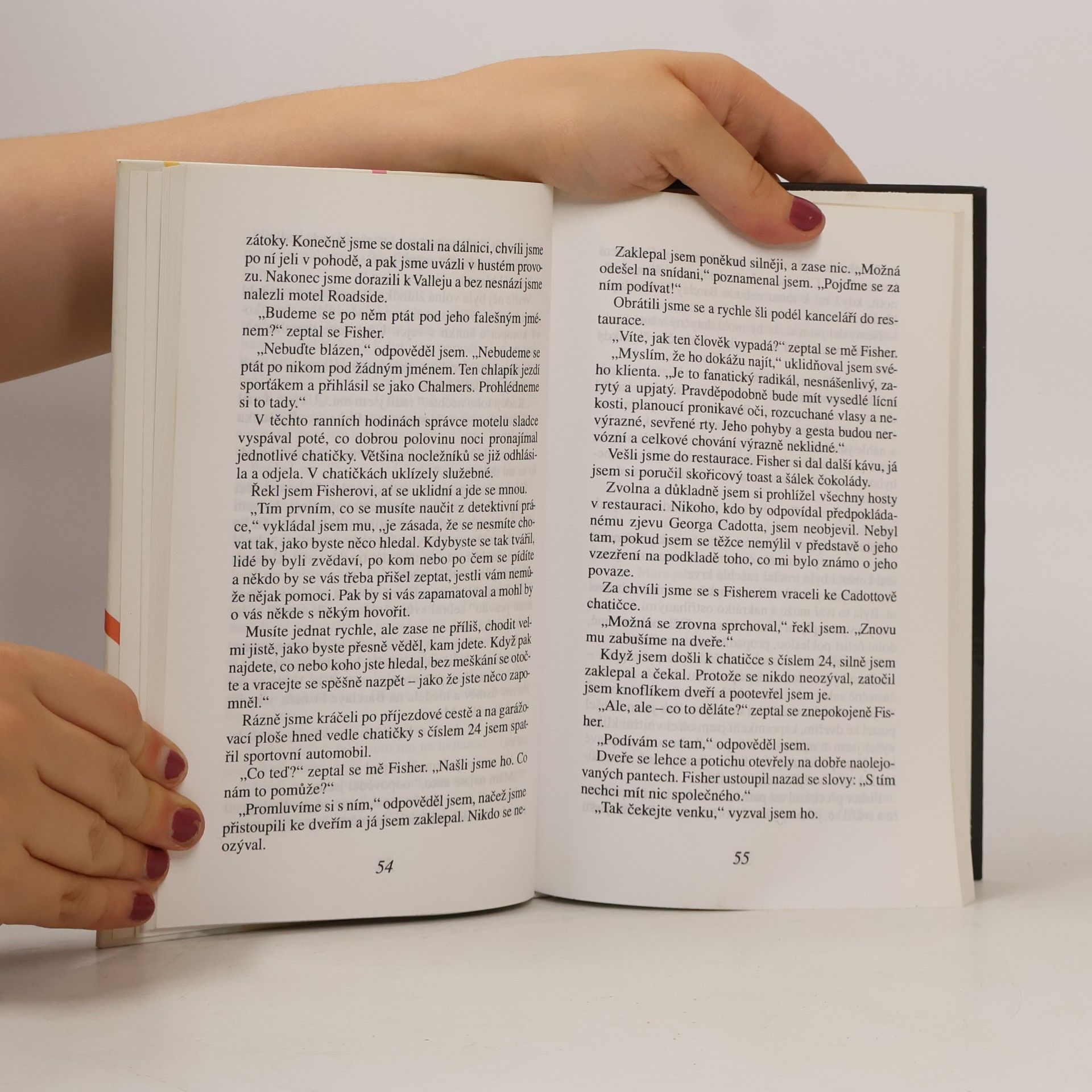 Erle Stanley Gardner Některá negližé cosi tají