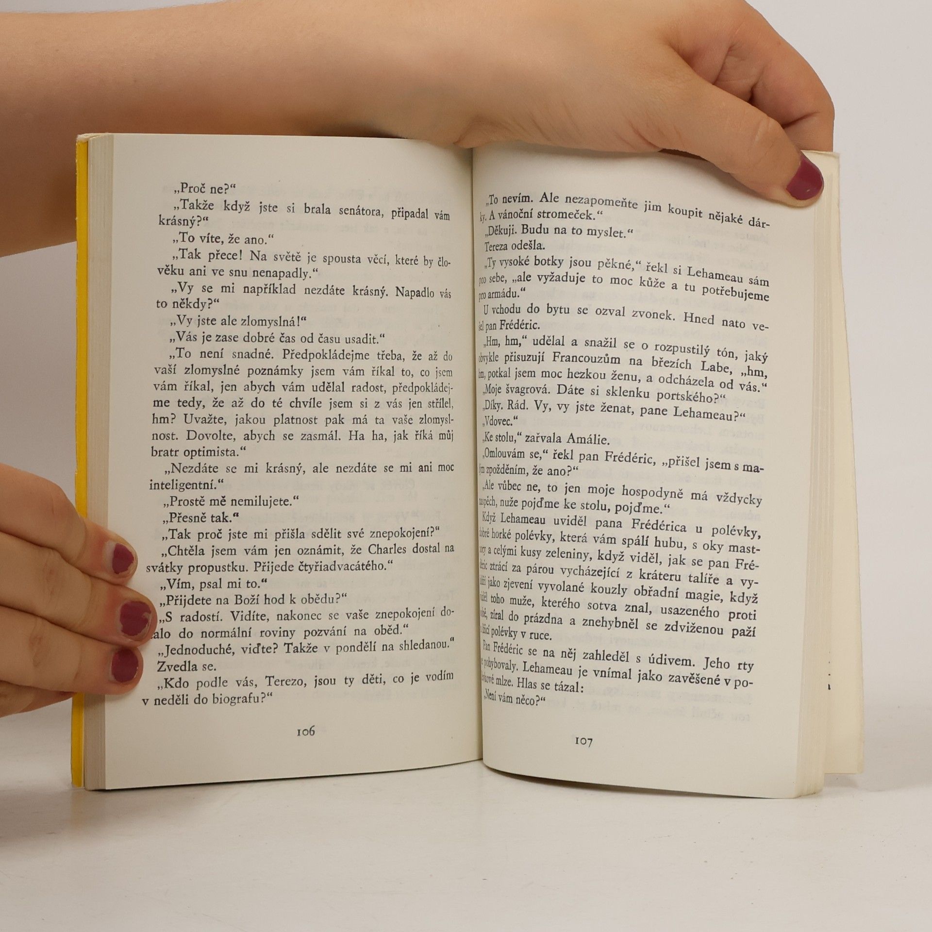 Raymond Queneau Tuhá zima