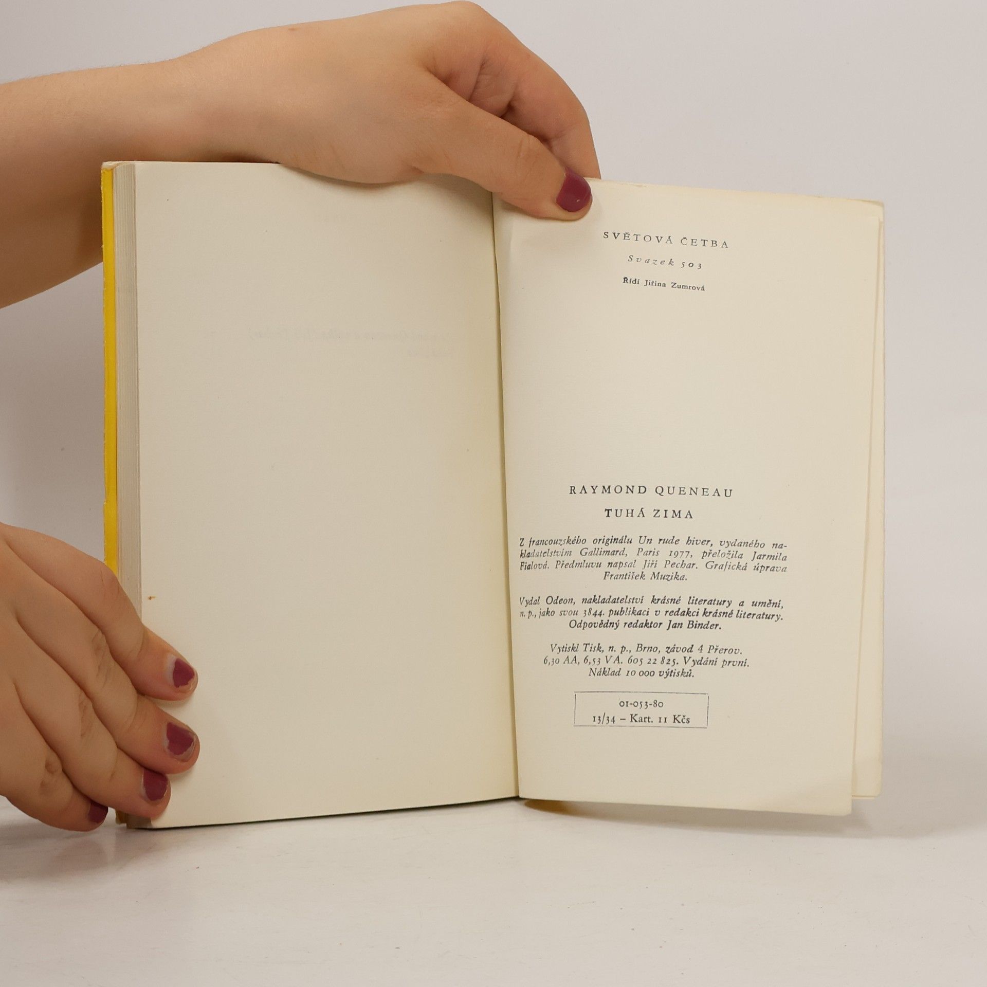 Raymond Queneau Tuhá zima