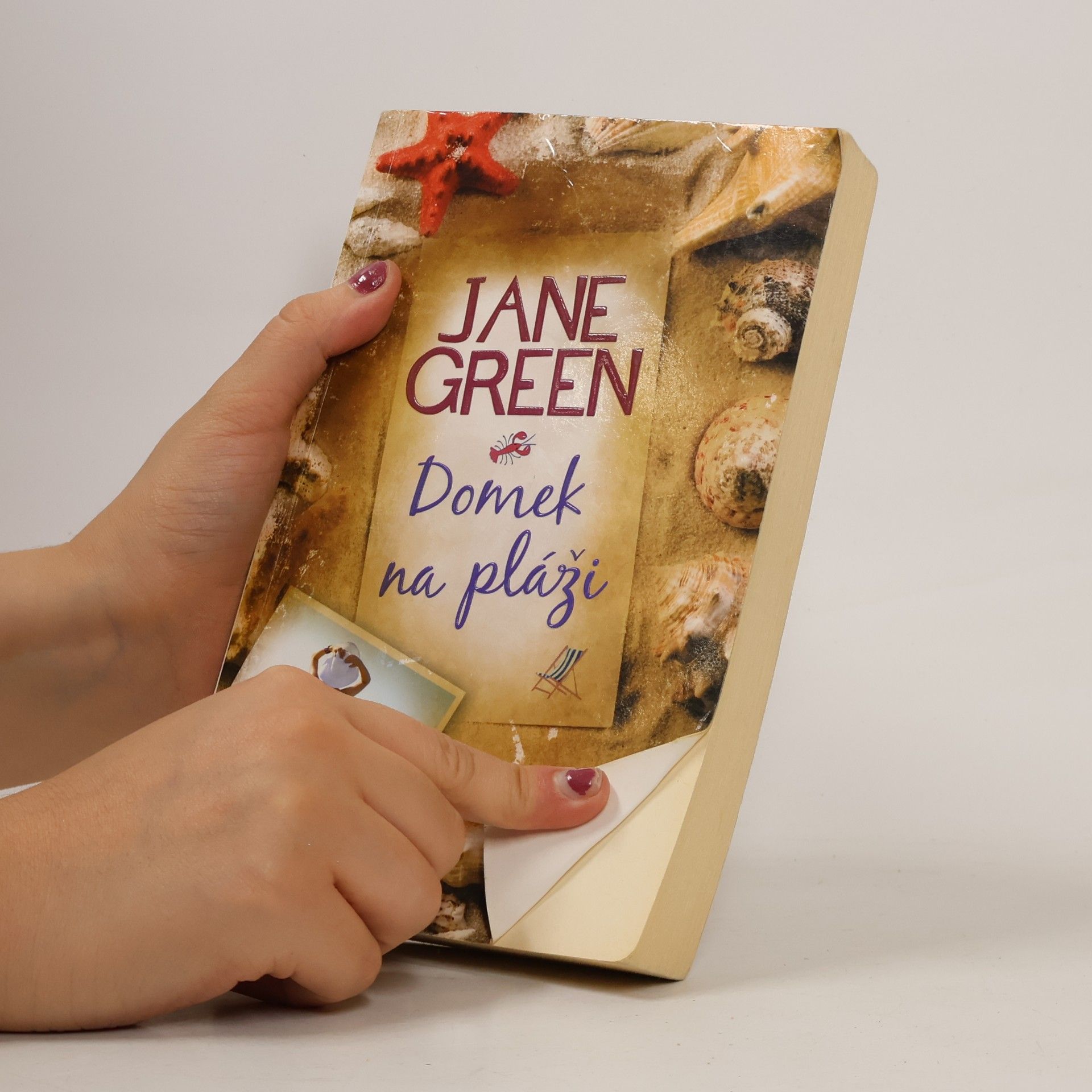 Jane Green Domek na pláži
