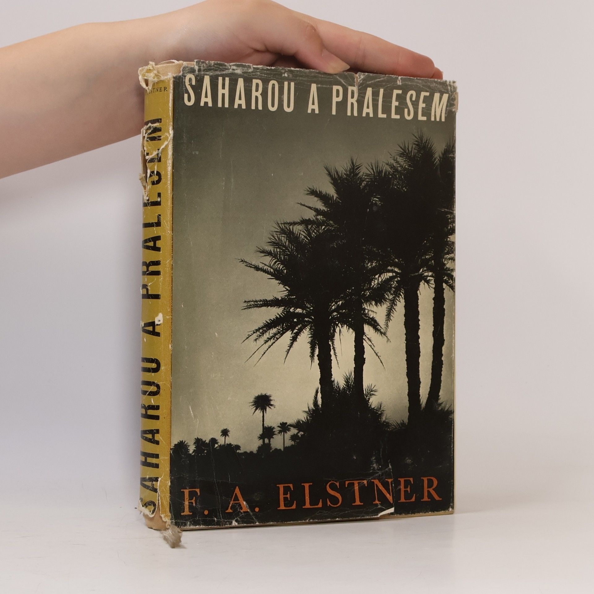 František Alexander Elstner Saharou a pralesem