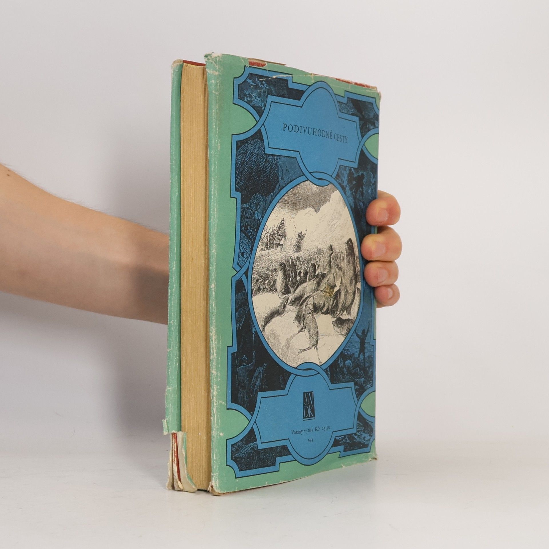 Jules Verne Oceánem na kře ledové
