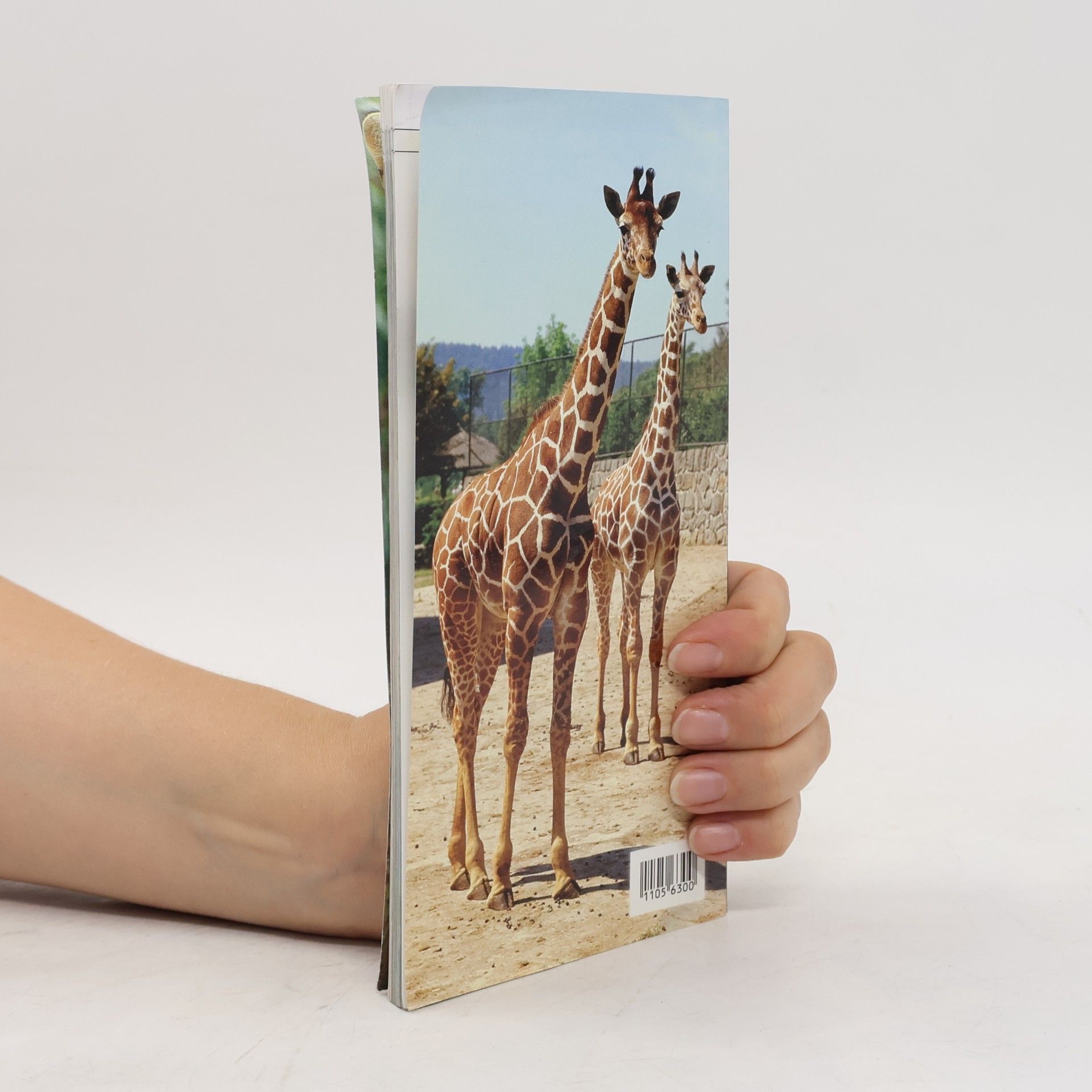 Dana Holečková Průvodce ZOO Dvůr Králové nad Labem