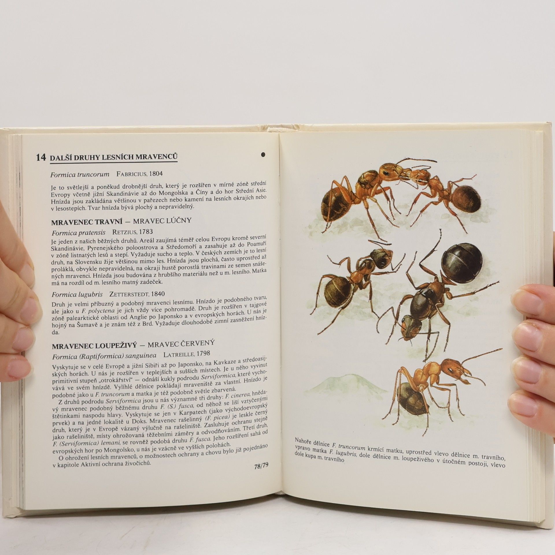 Autorenkollektiv Kapesní atlas chráněných a ohrožených živočichů 1