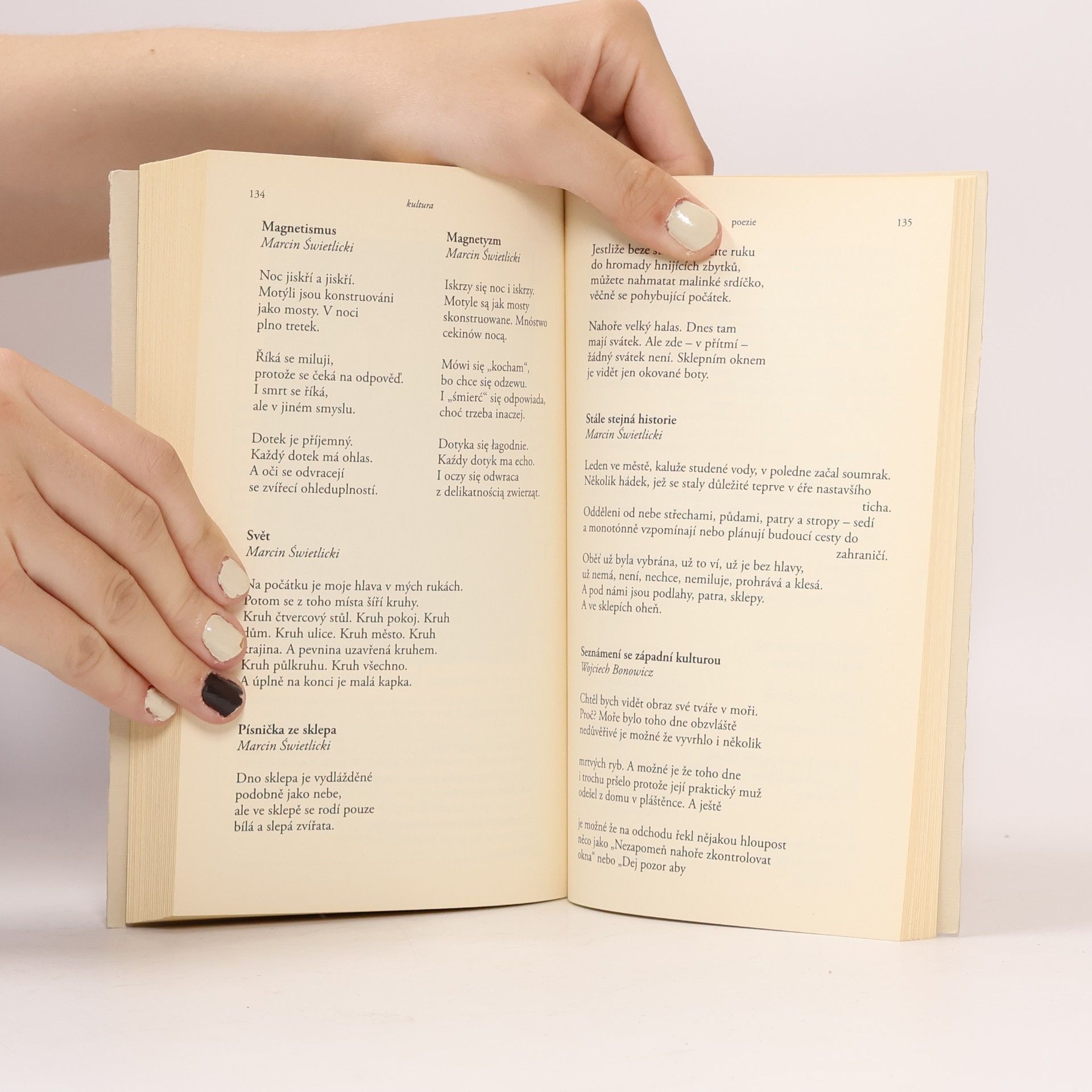 Autores varios Revue Prostor 84. Polsko vzdálené nebo blízké?