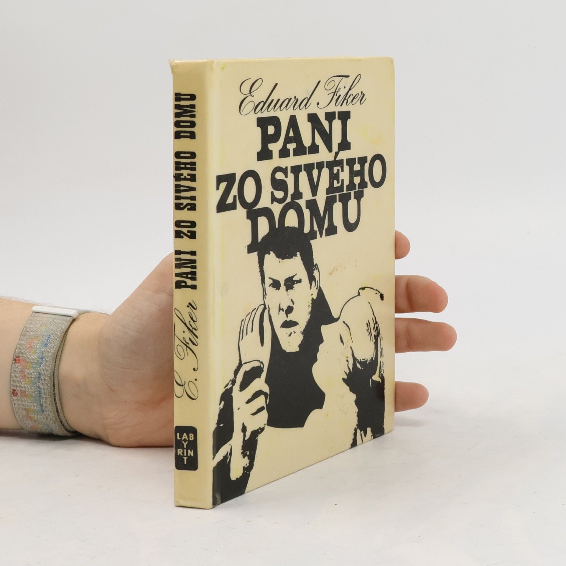 Eduard Fiker Pani zo sivého domu
