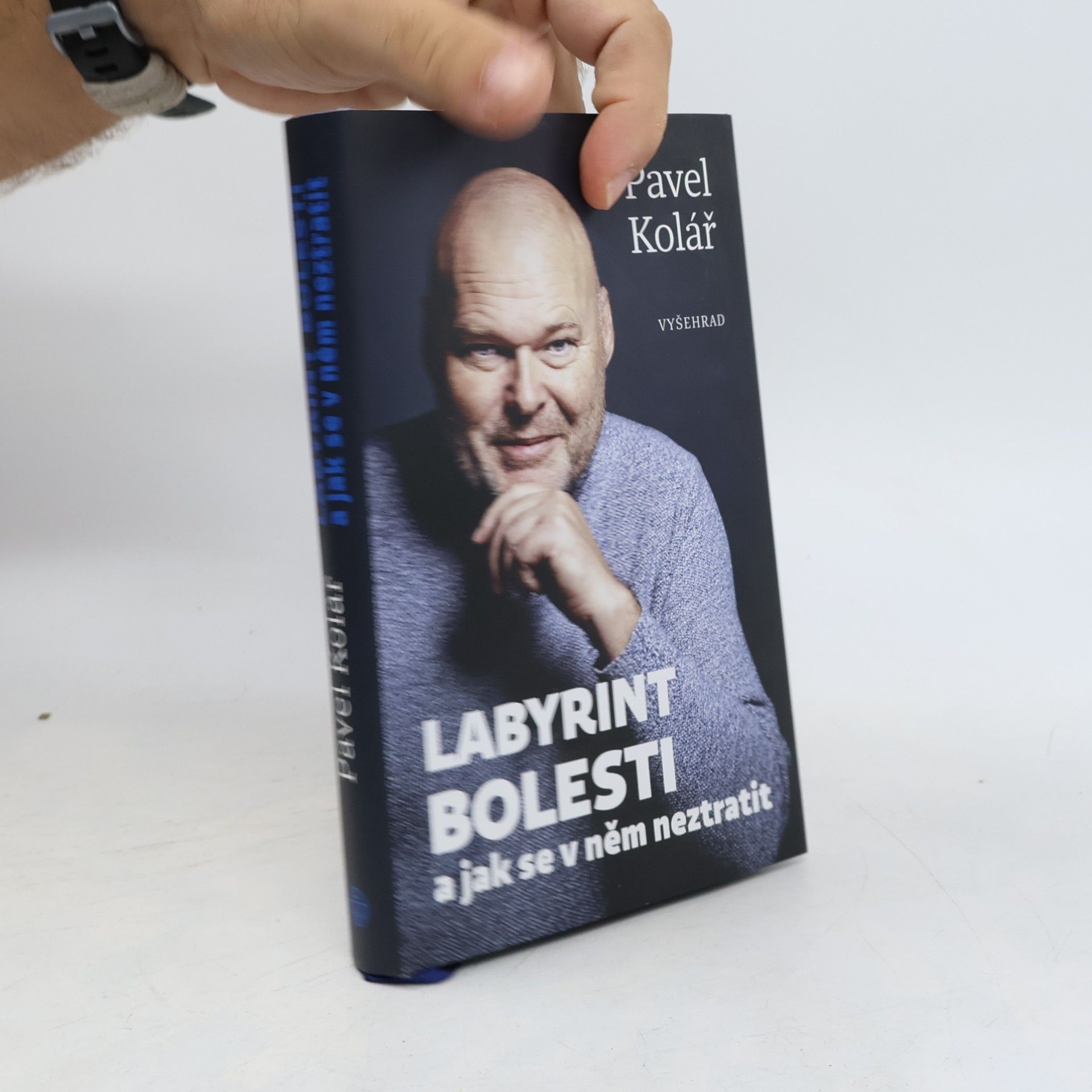 Pavel Kolář Labyrint bolesti a jak se v něm neztratit