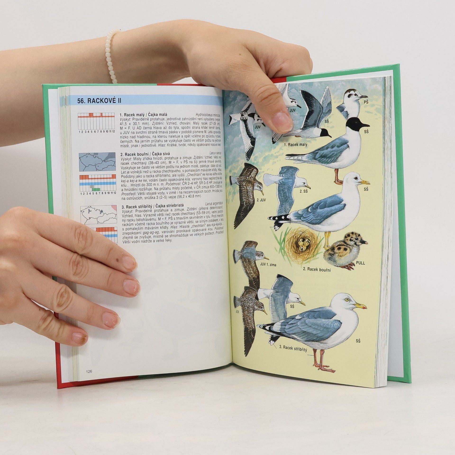Jan Dungel Atlas ptáků České a Slovenské republiky