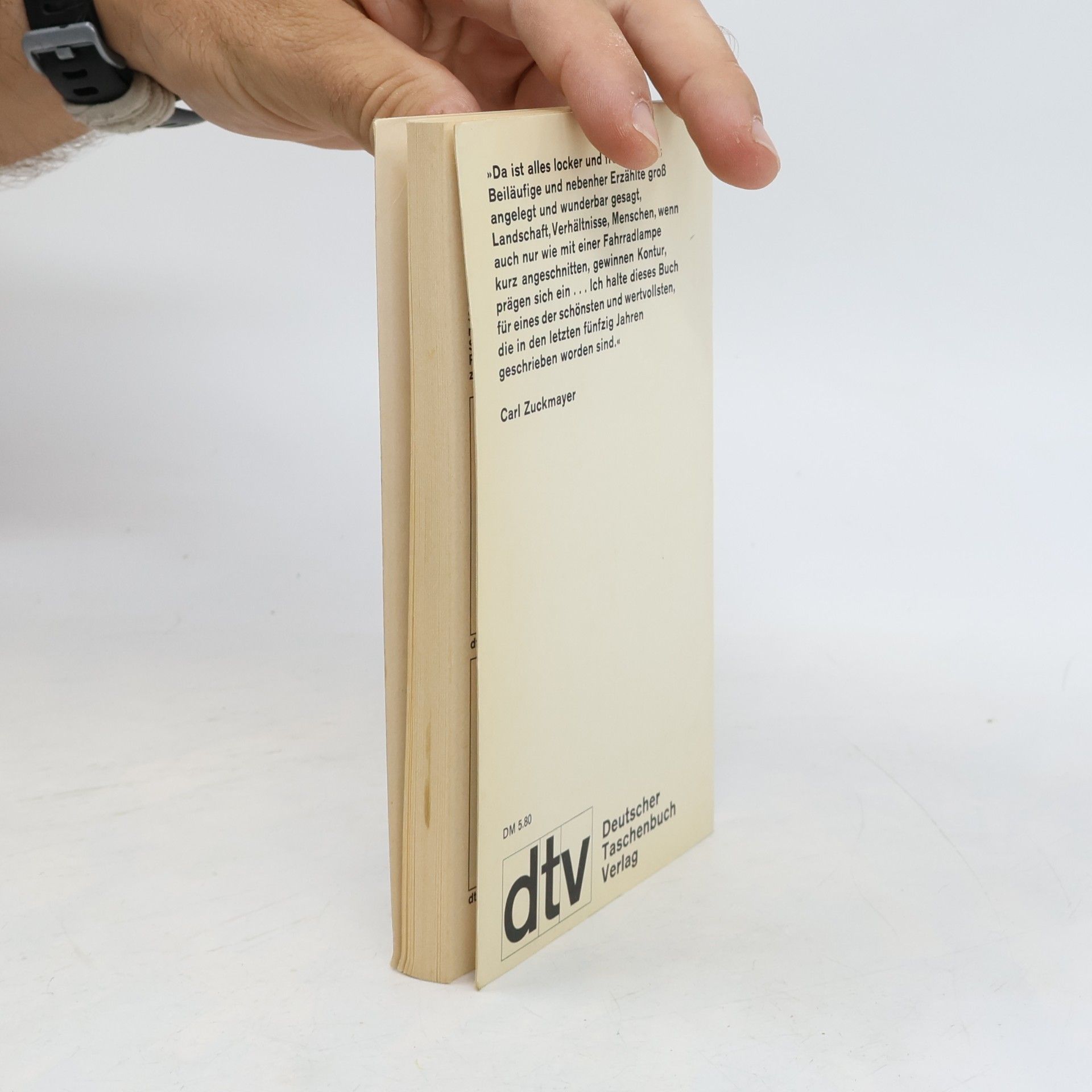 Heinrich Böll Irisches Tagebuch