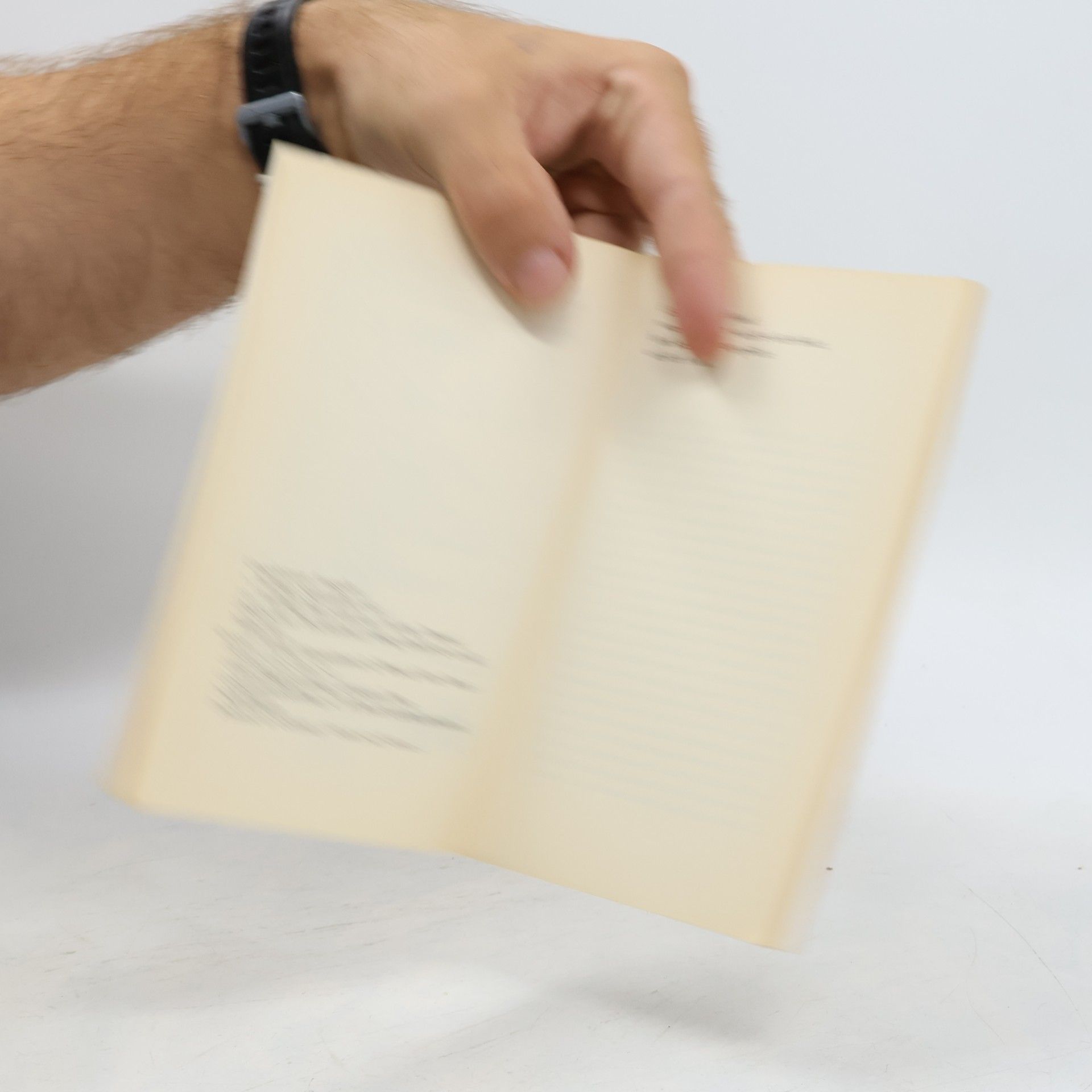 Heinrich Böll Irisches Tagebuch