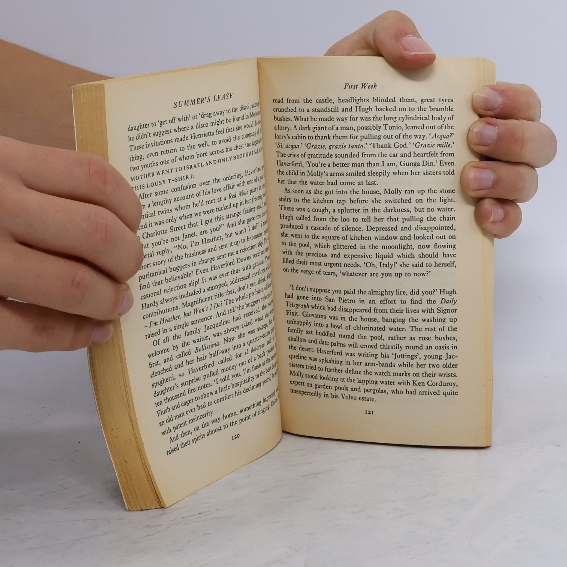 John Mortimer Summer's lease