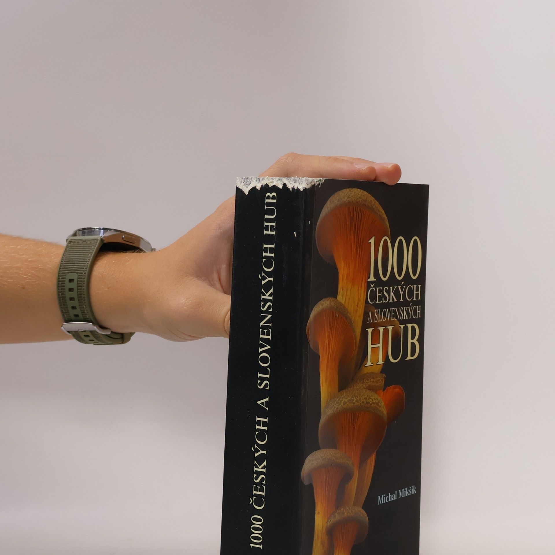 Michal Mikšík 1000 českých a slovenských hub