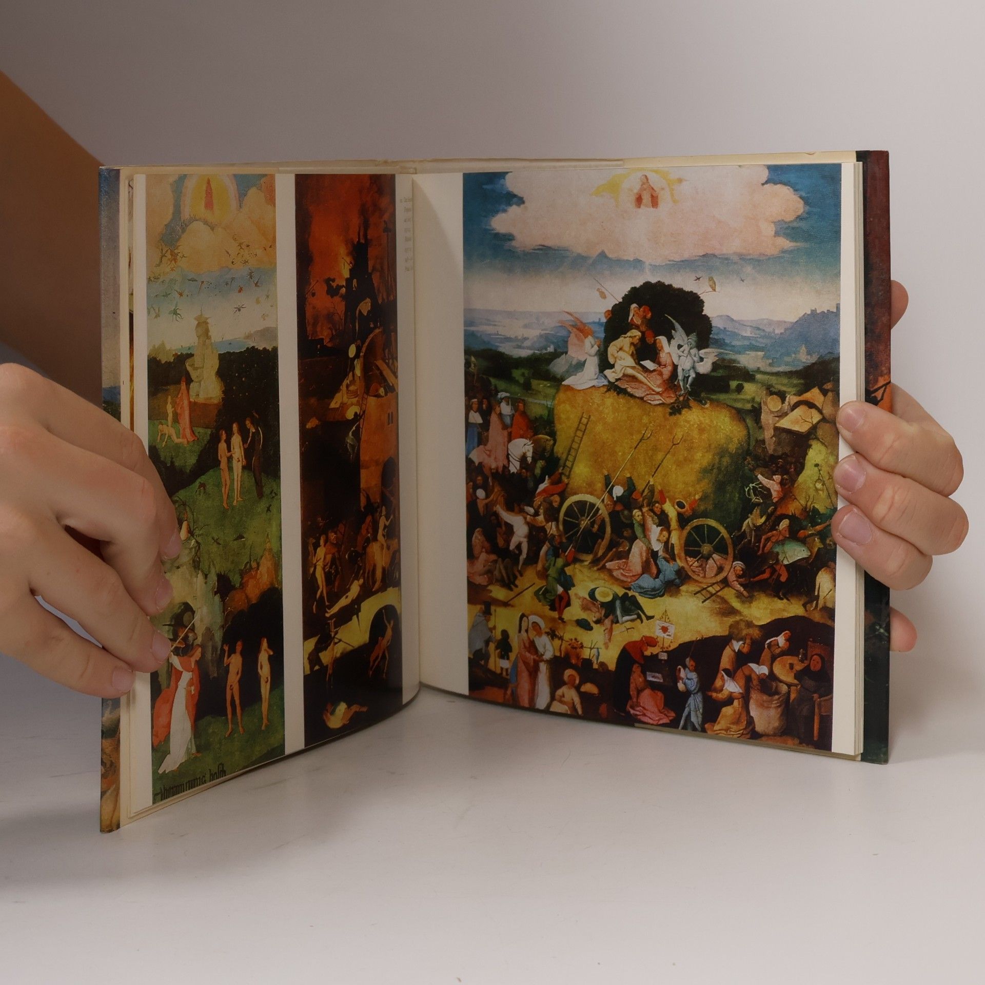 Hana Volavková Hieronymus Bosch