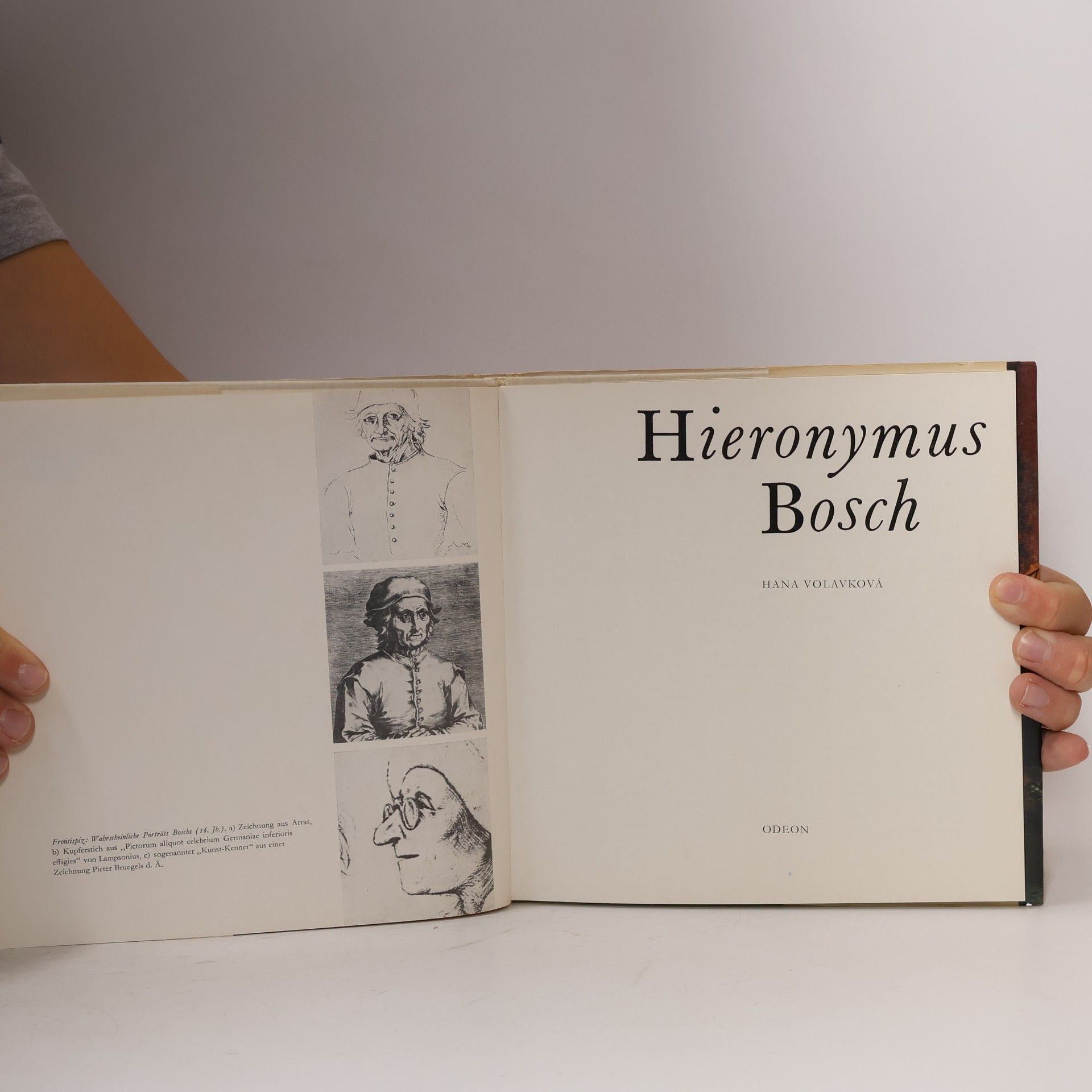 Hana Volavková Hieronymus Bosch