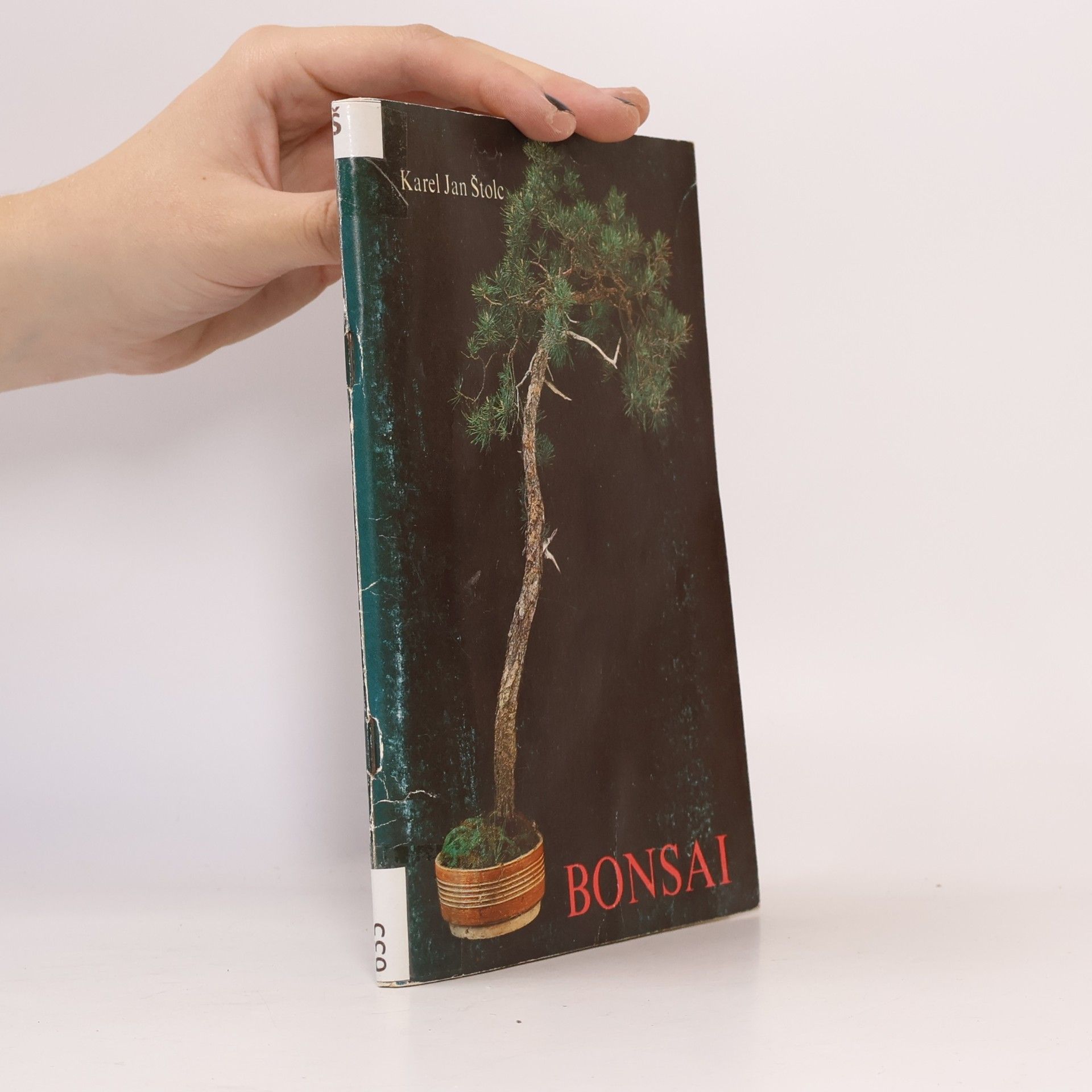 Karel Jan Štolc Bonsai