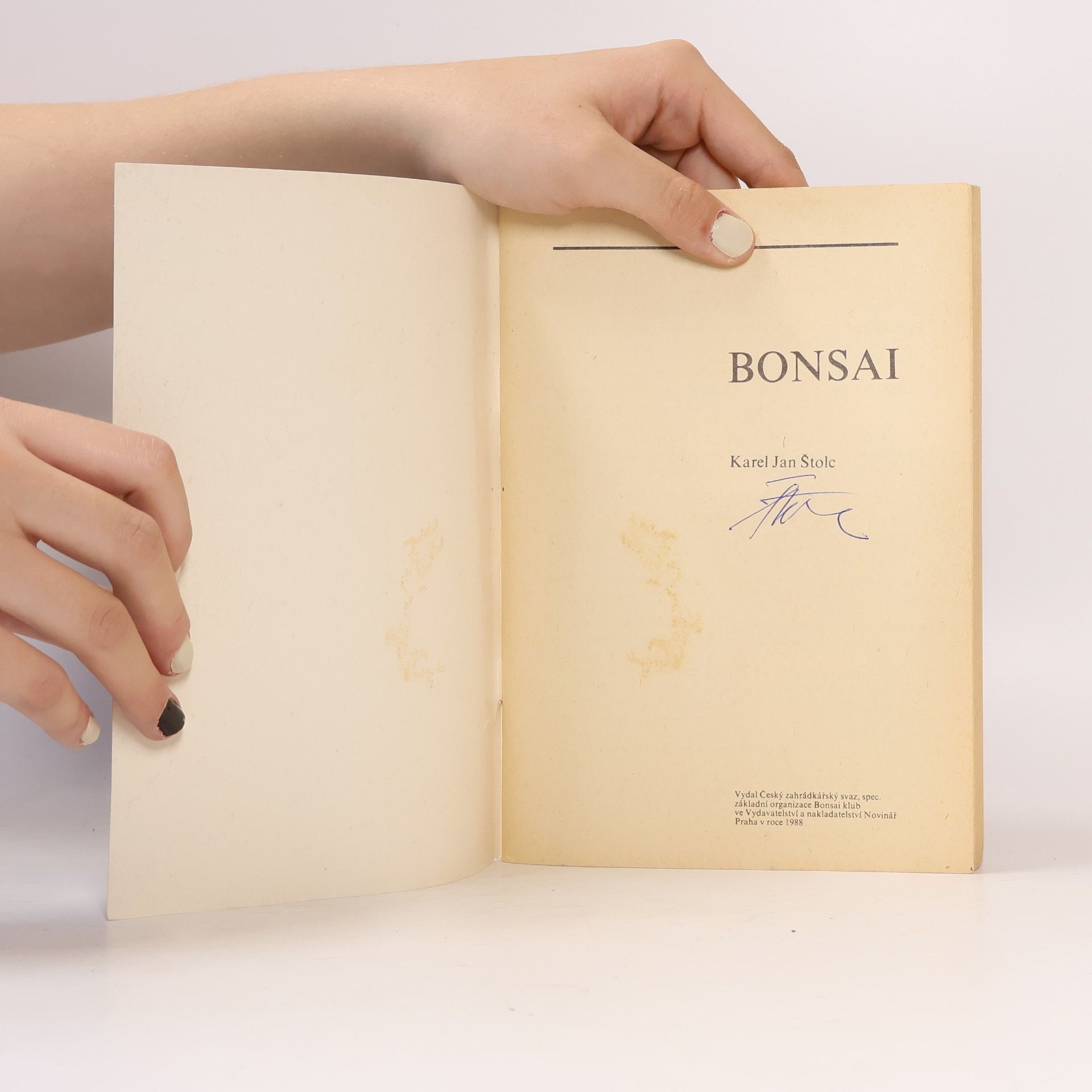 Karel Jan Štolc Bonsai