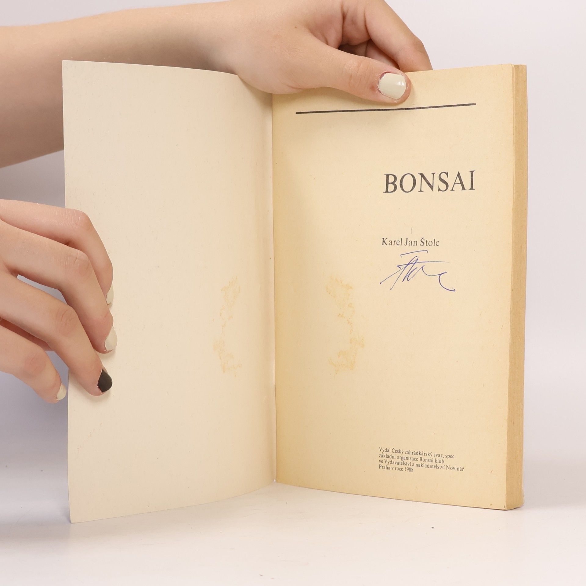Karel Jan Štolc Bonsai