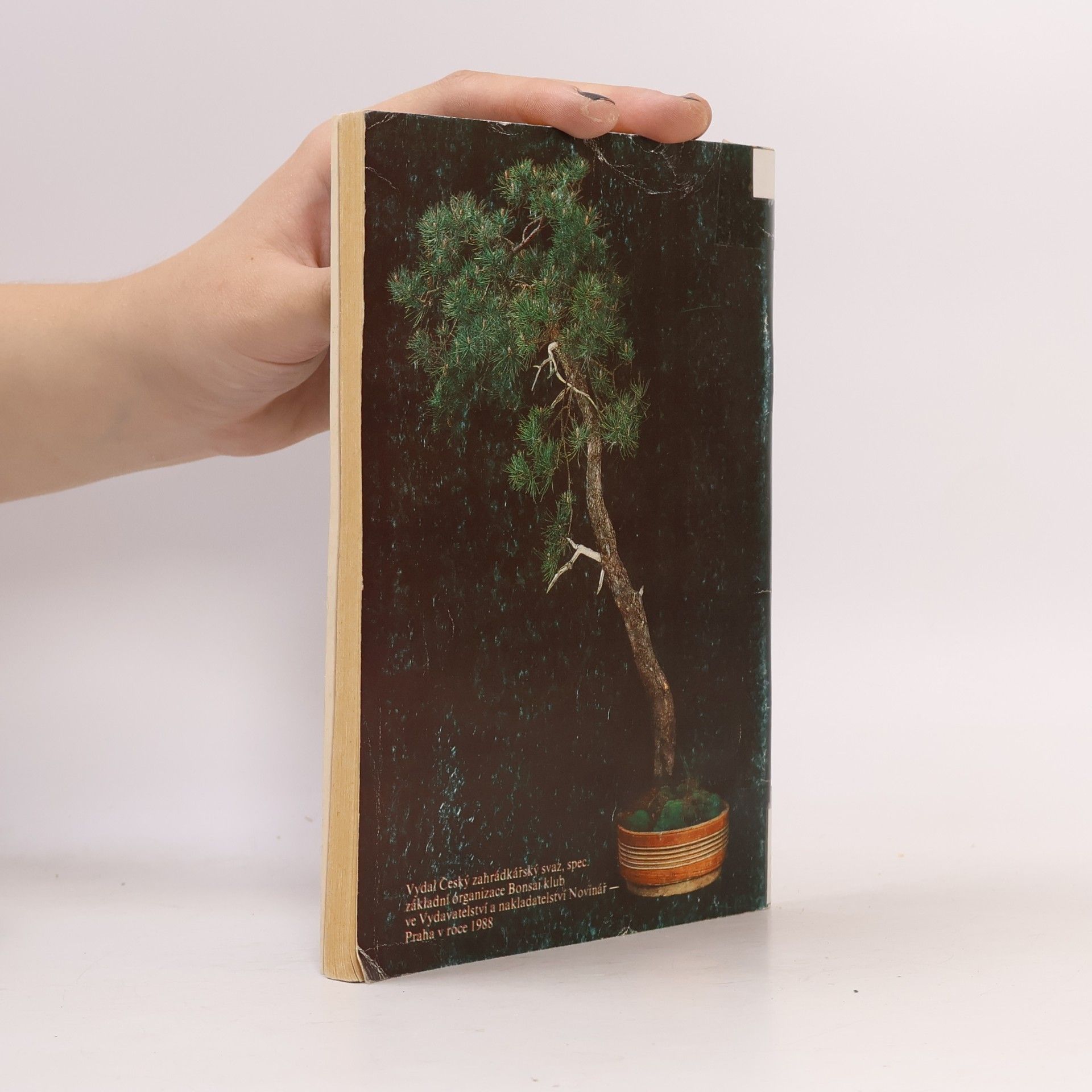 Karel Jan Štolc Bonsai