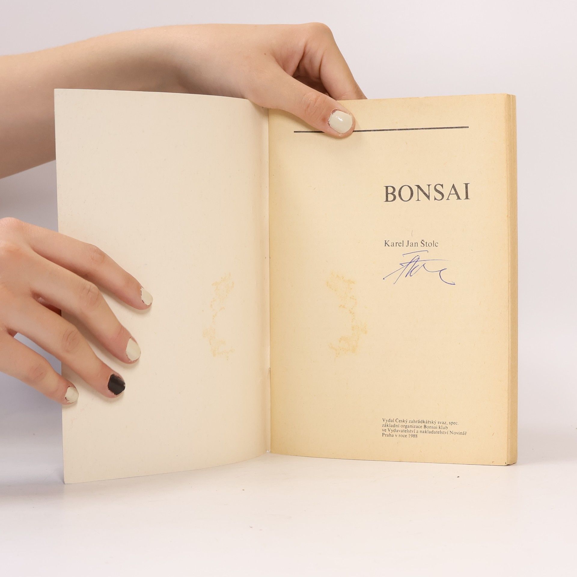 Karel Jan Štolc Bonsai
