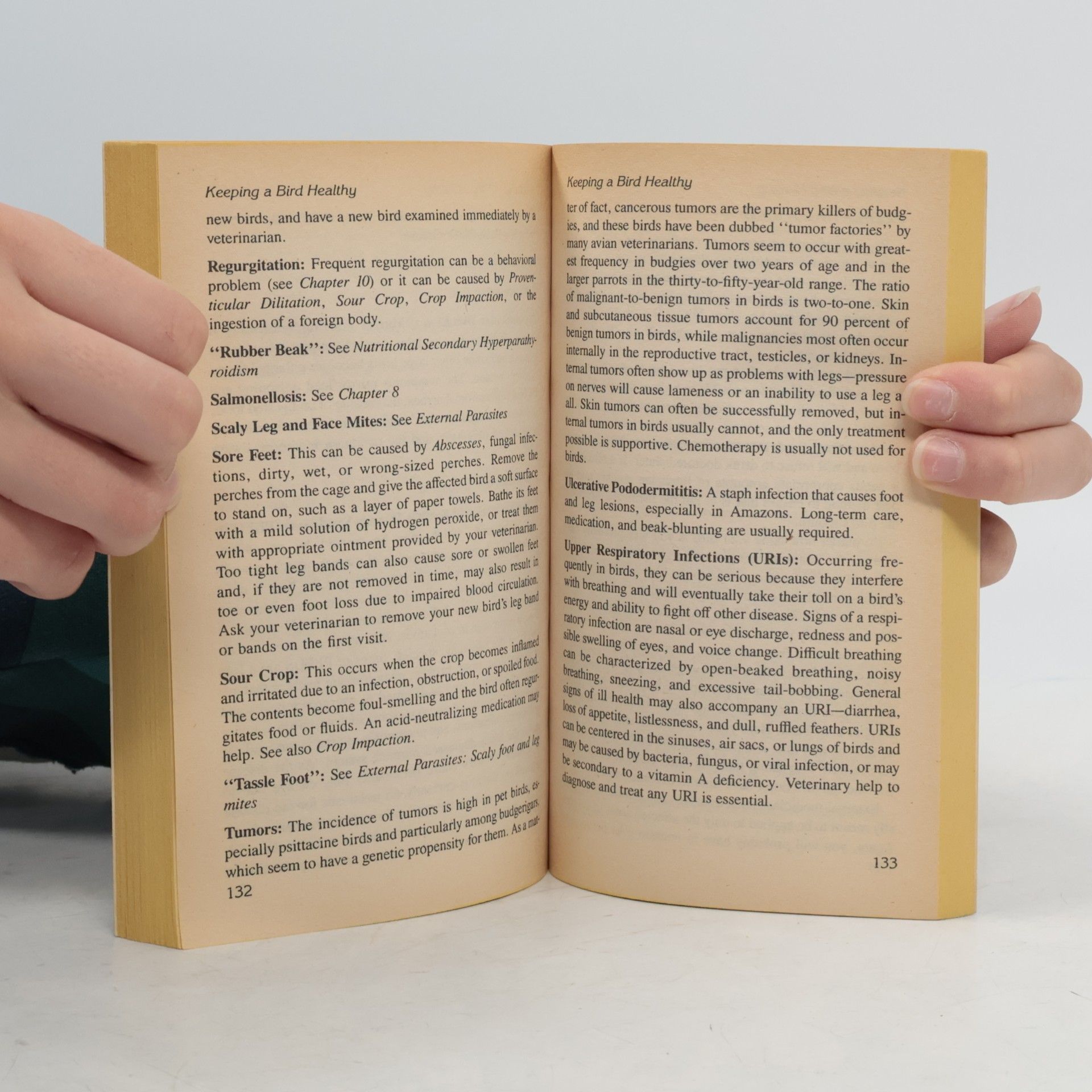 Elizabeth Randolph The Basic Bird Book