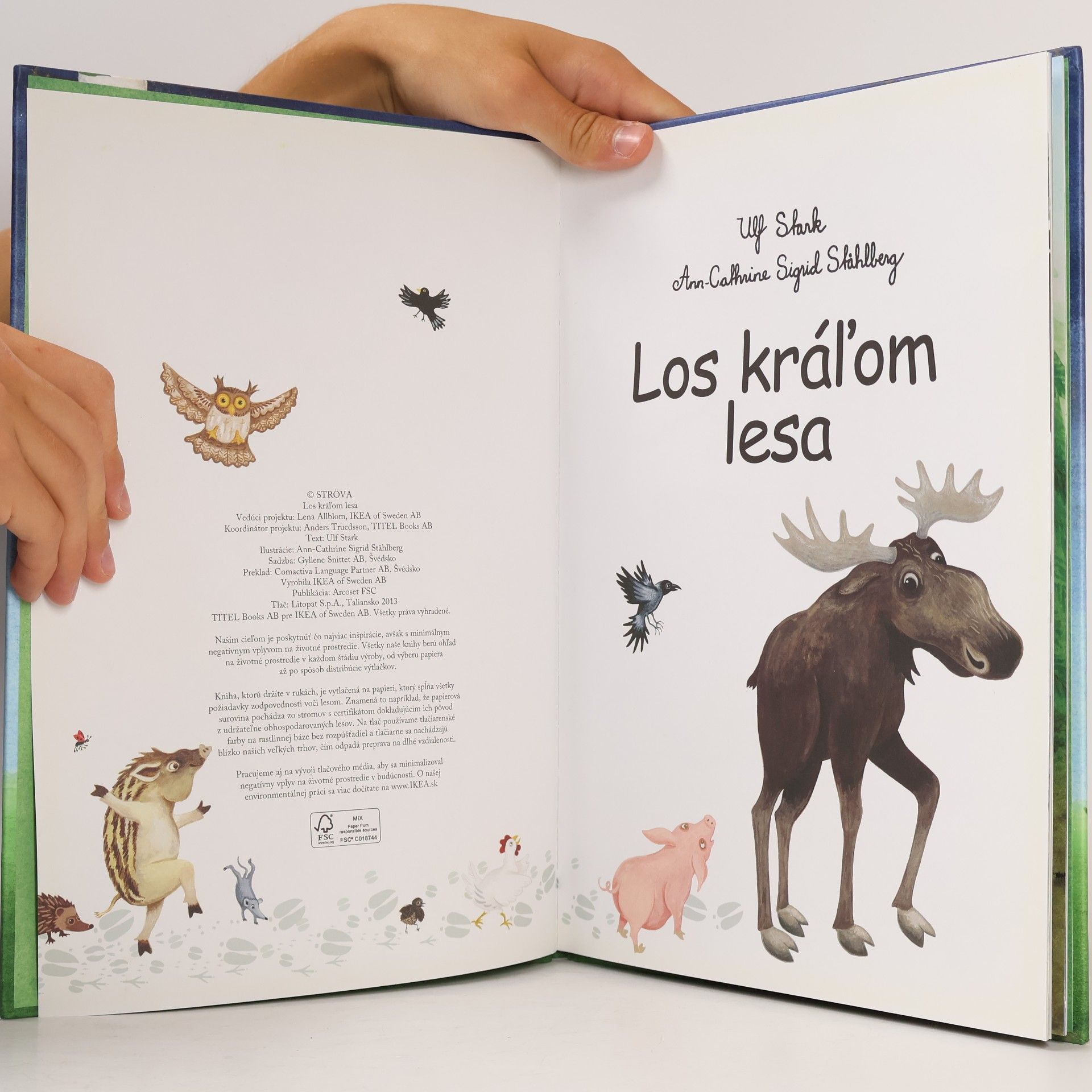 Ulf Stark Los král'om lesa