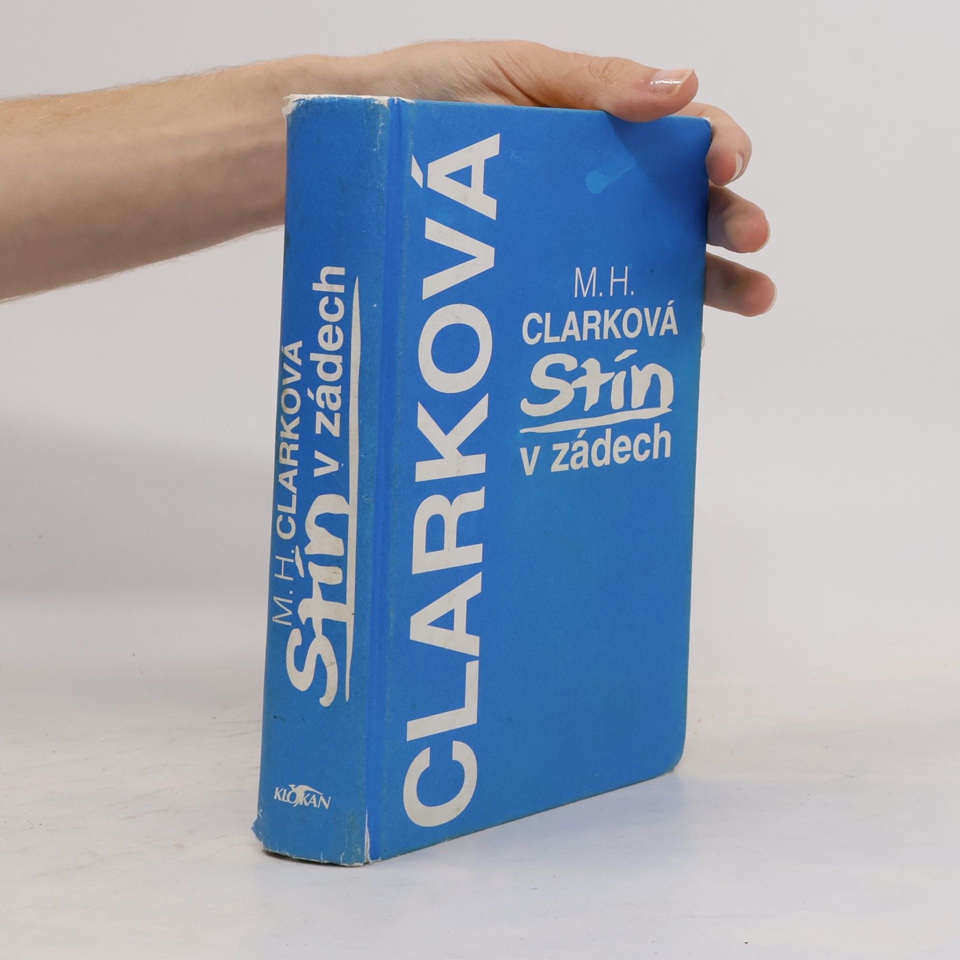 Mary Higginsová Clarková Stín v zádech