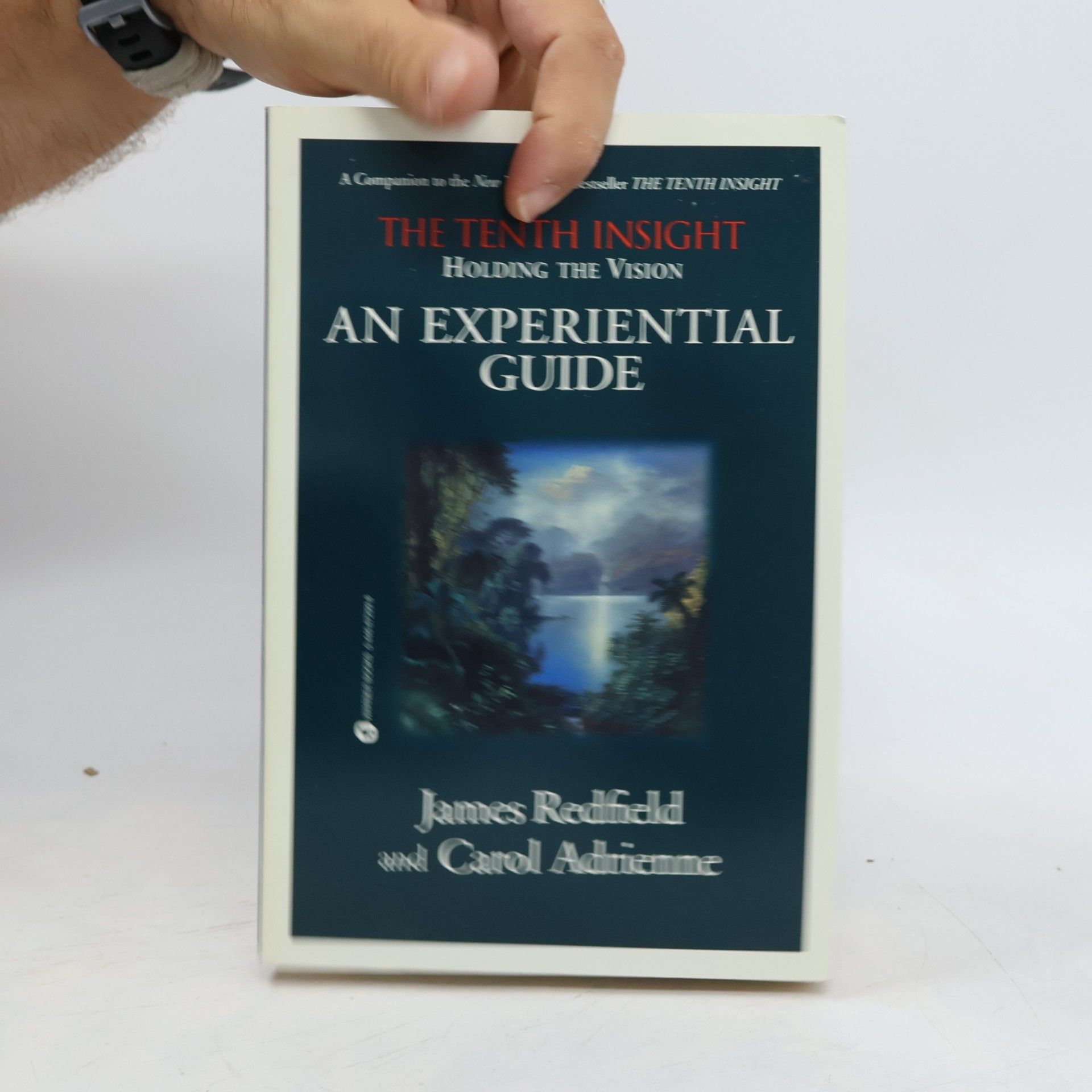 Holding the Vision. An Experiential Guide