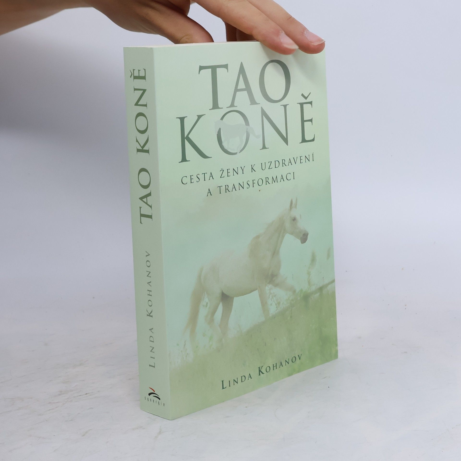 Linda Kohanov Tao koně