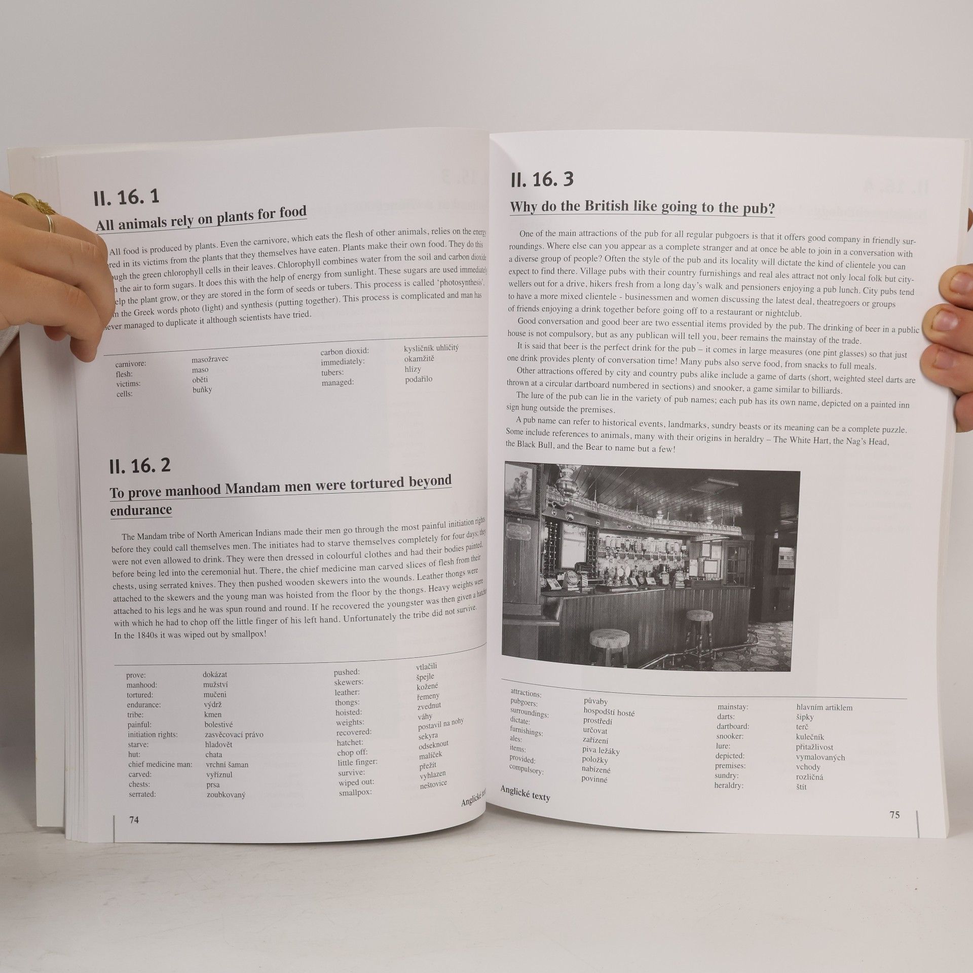 Petr Hamajda Anglické texty s překlady. English texts with translations
