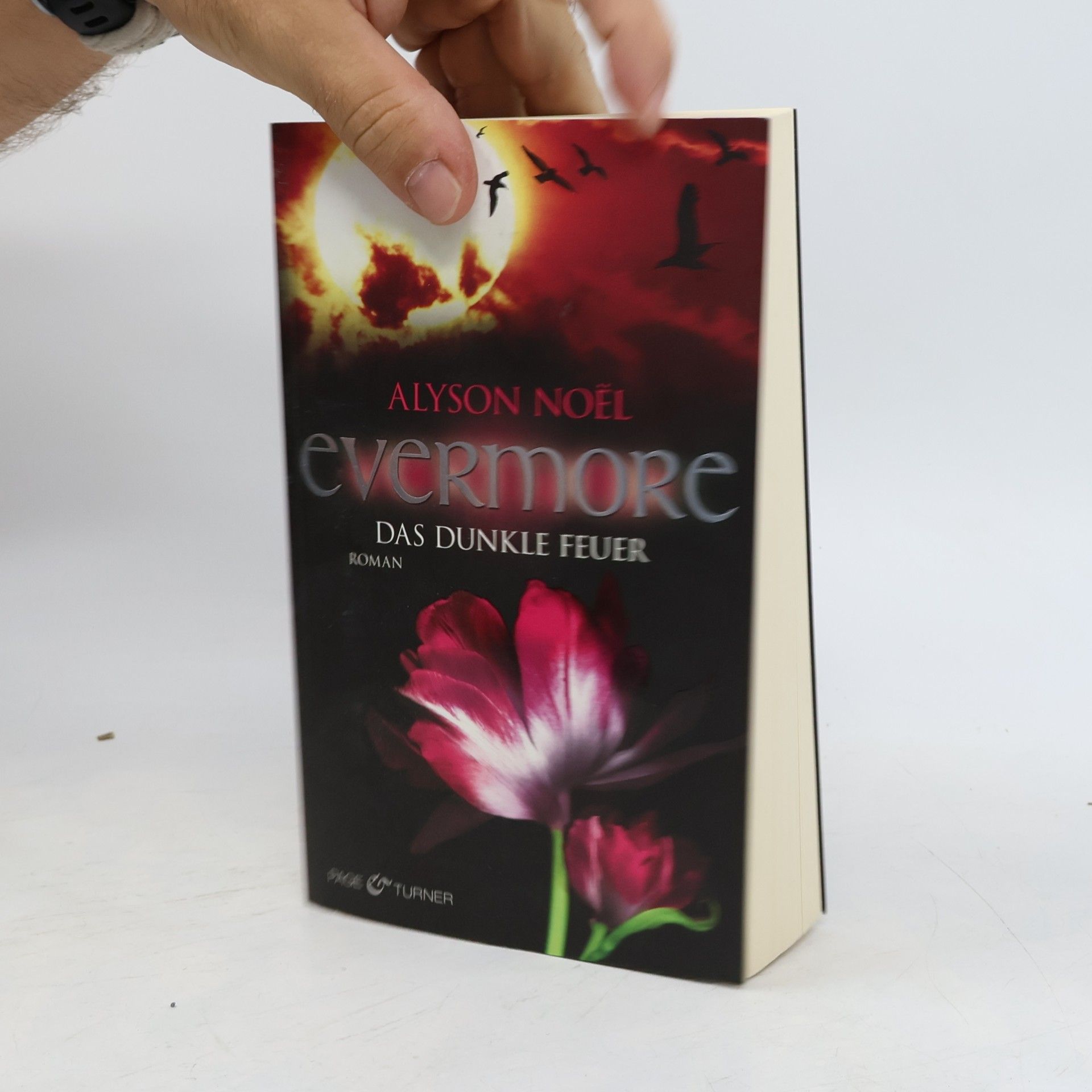 Alyson Noë͏l Evermore: Das dunkle Feuer