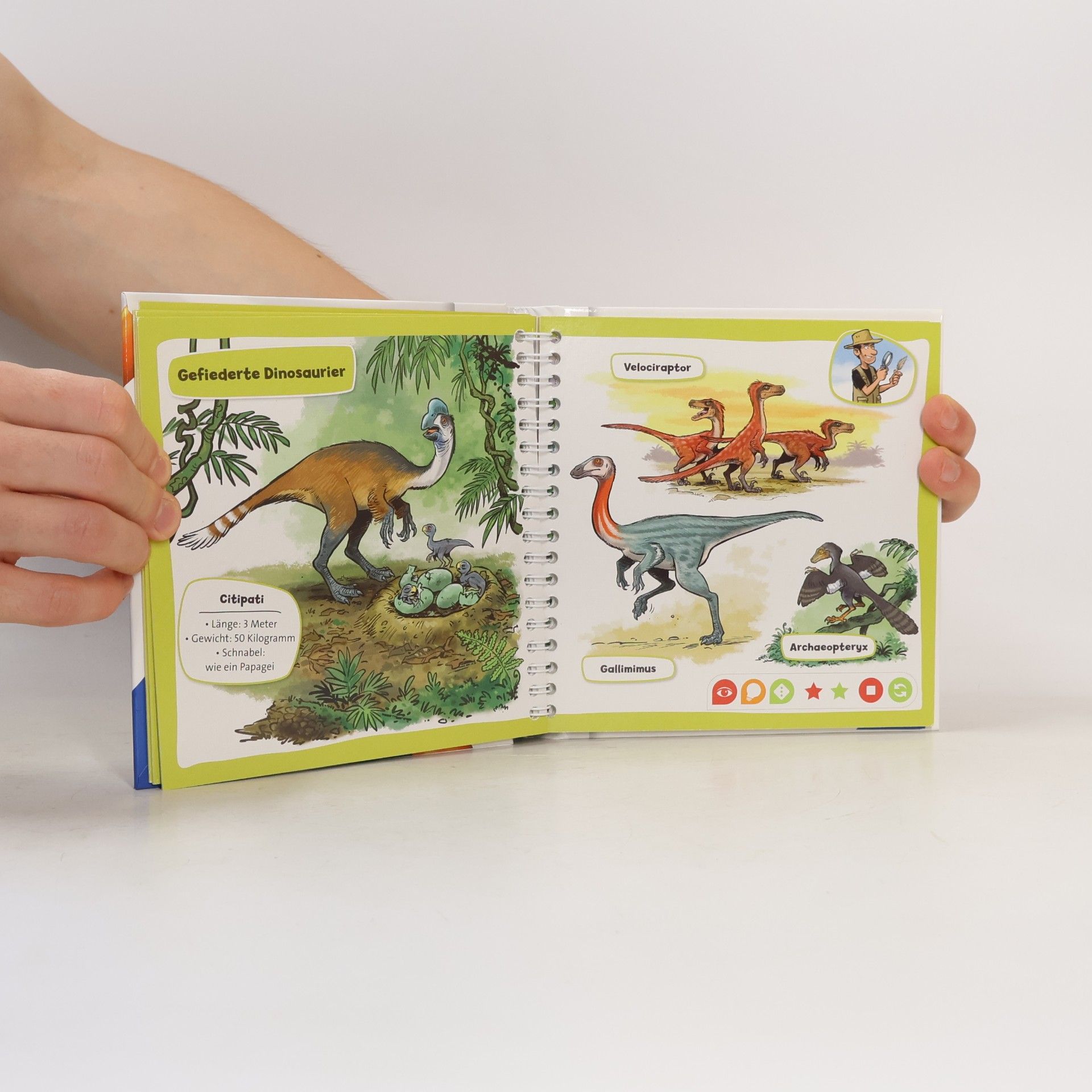 Autorenkollektiv Pocket Wissen. Dinosaurier