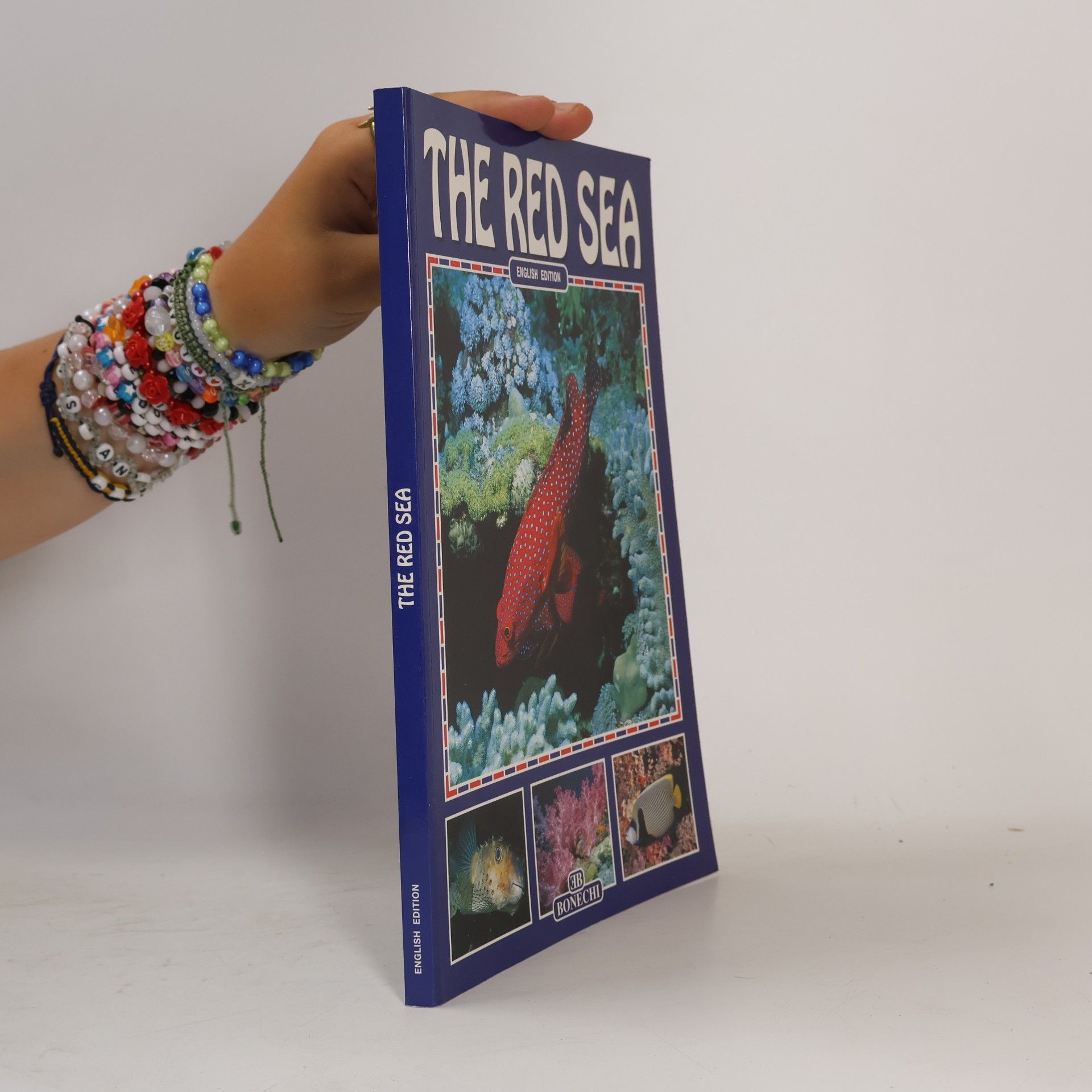 Andrea Ghisotti The Red Sea
