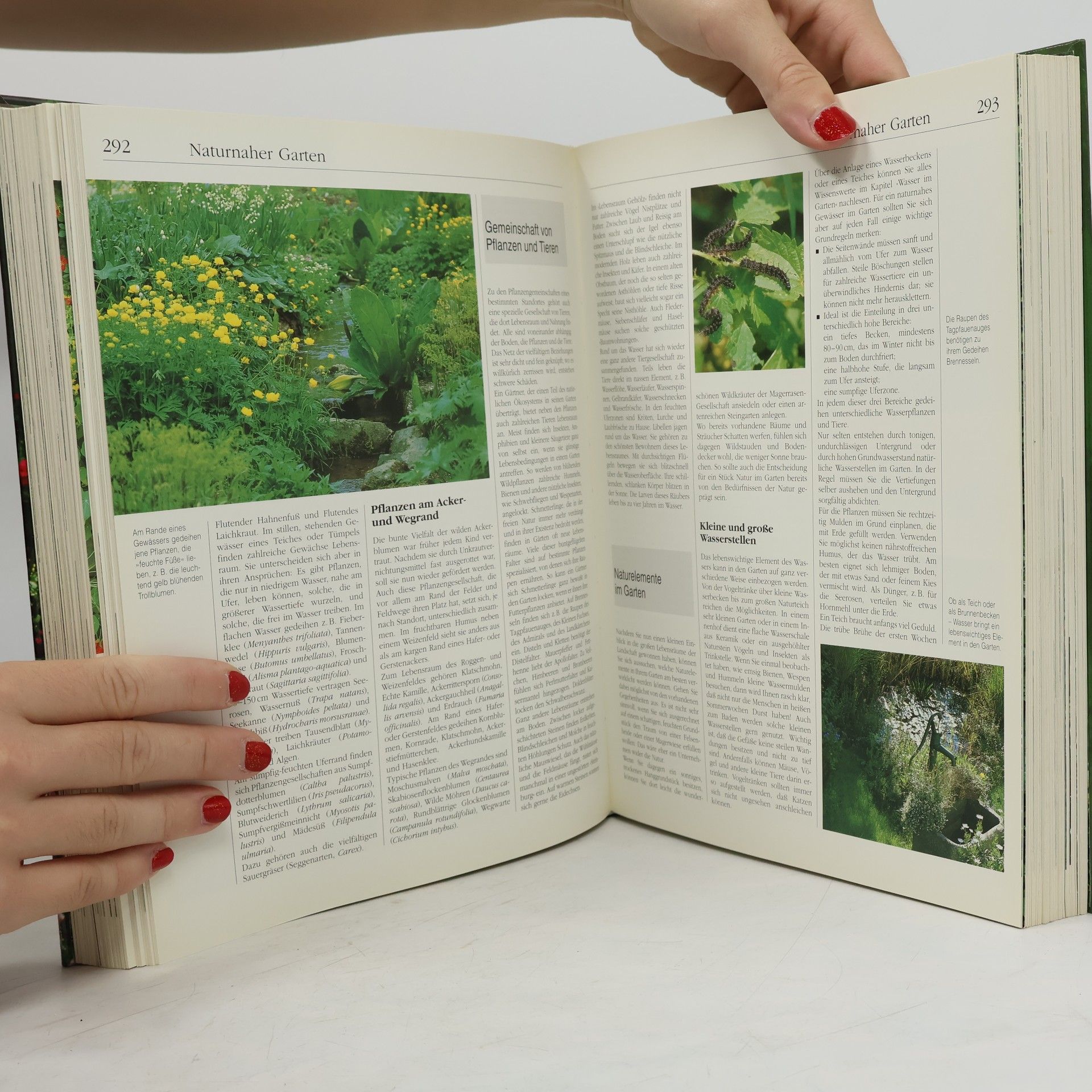 kolektiv Handbuch Garten