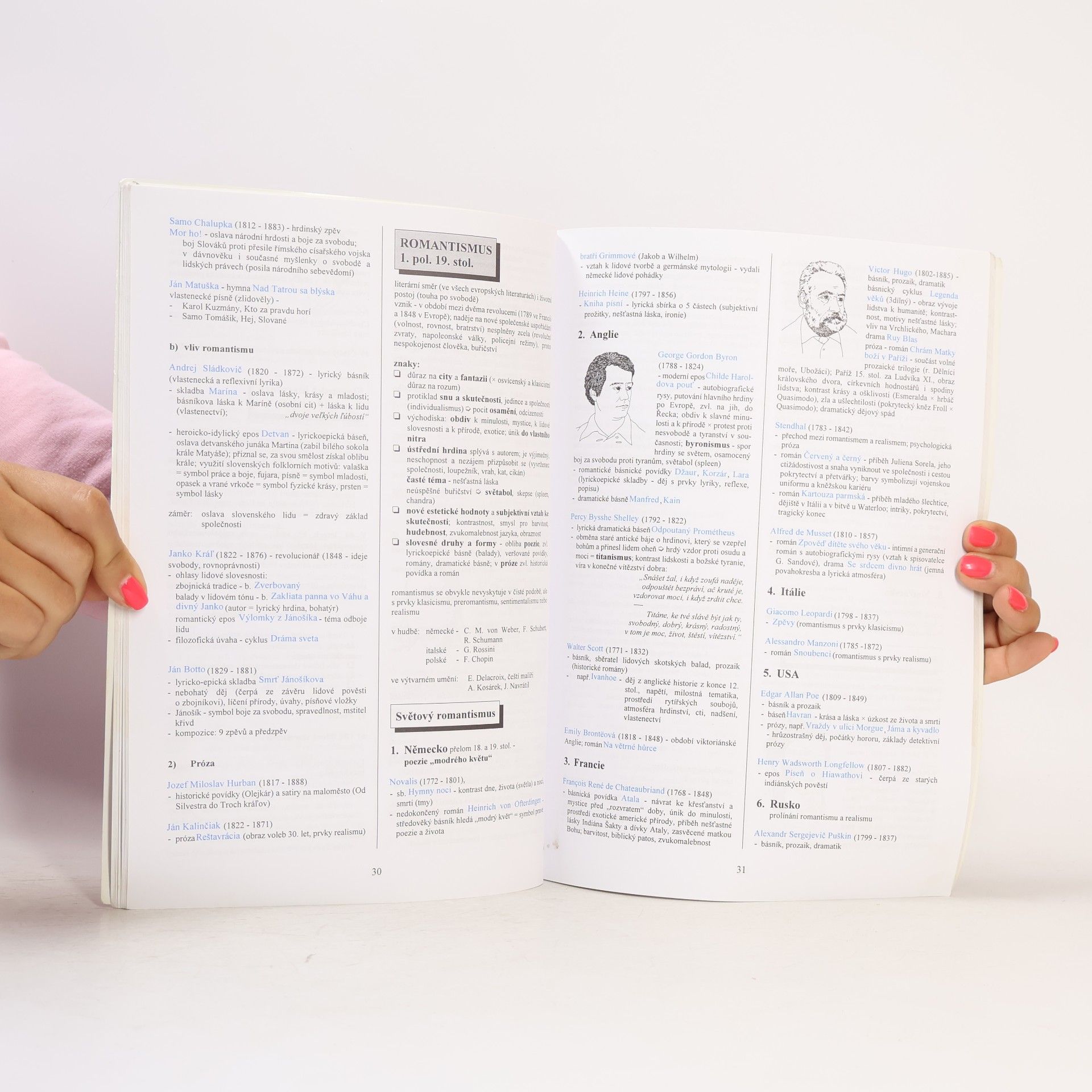 Marie Sochrová Literatura v kostce pro střední školy