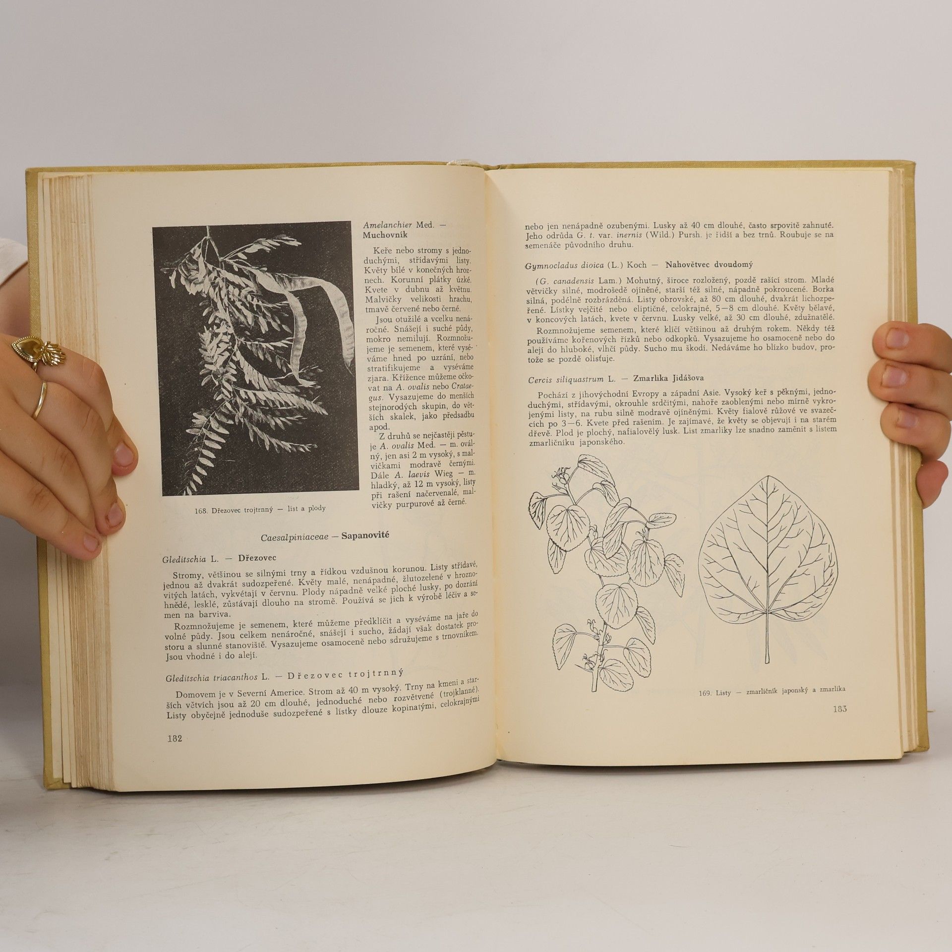 Autores varios Zahradnictví II. Květinářství, sadovnictví
