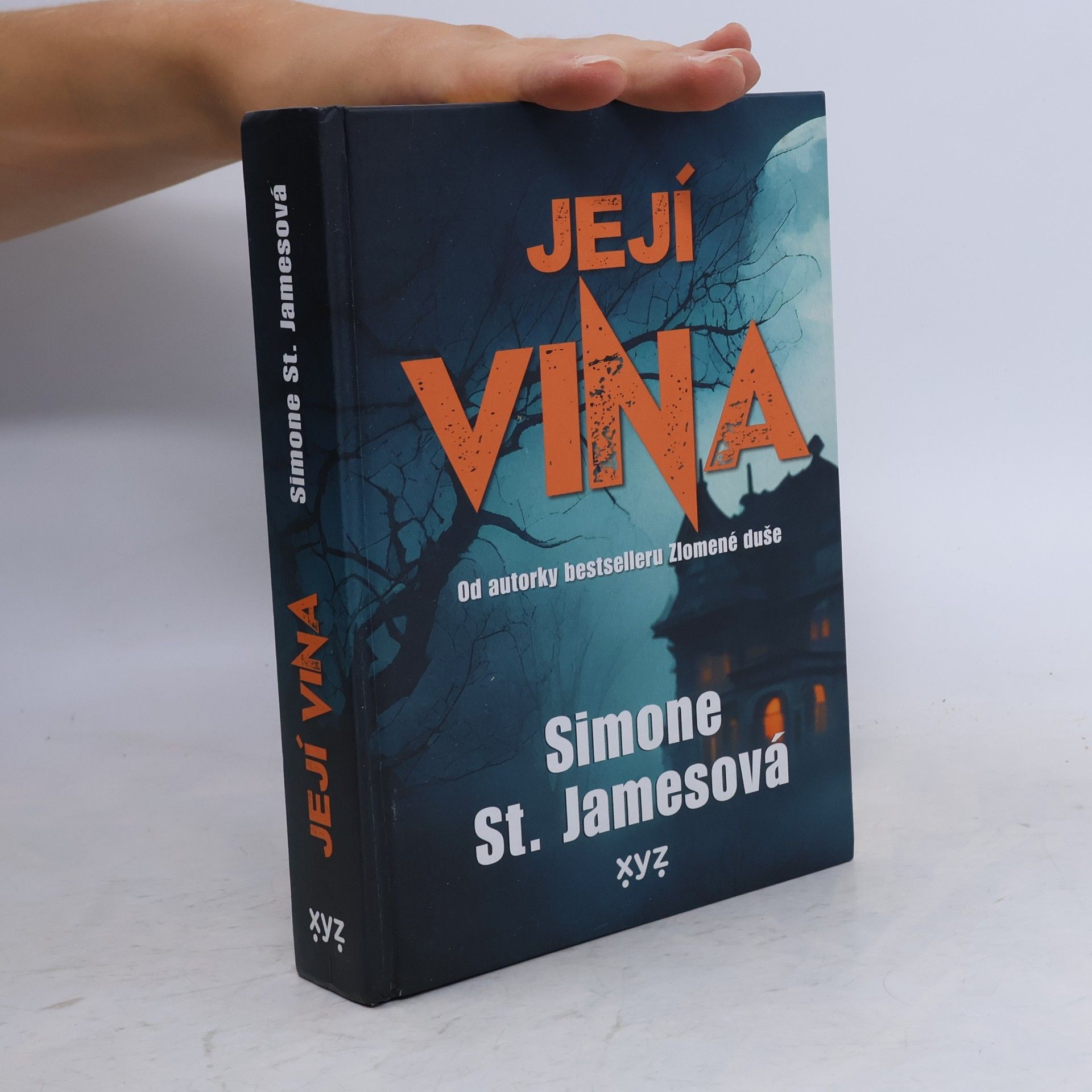 Simone St. James Její vina