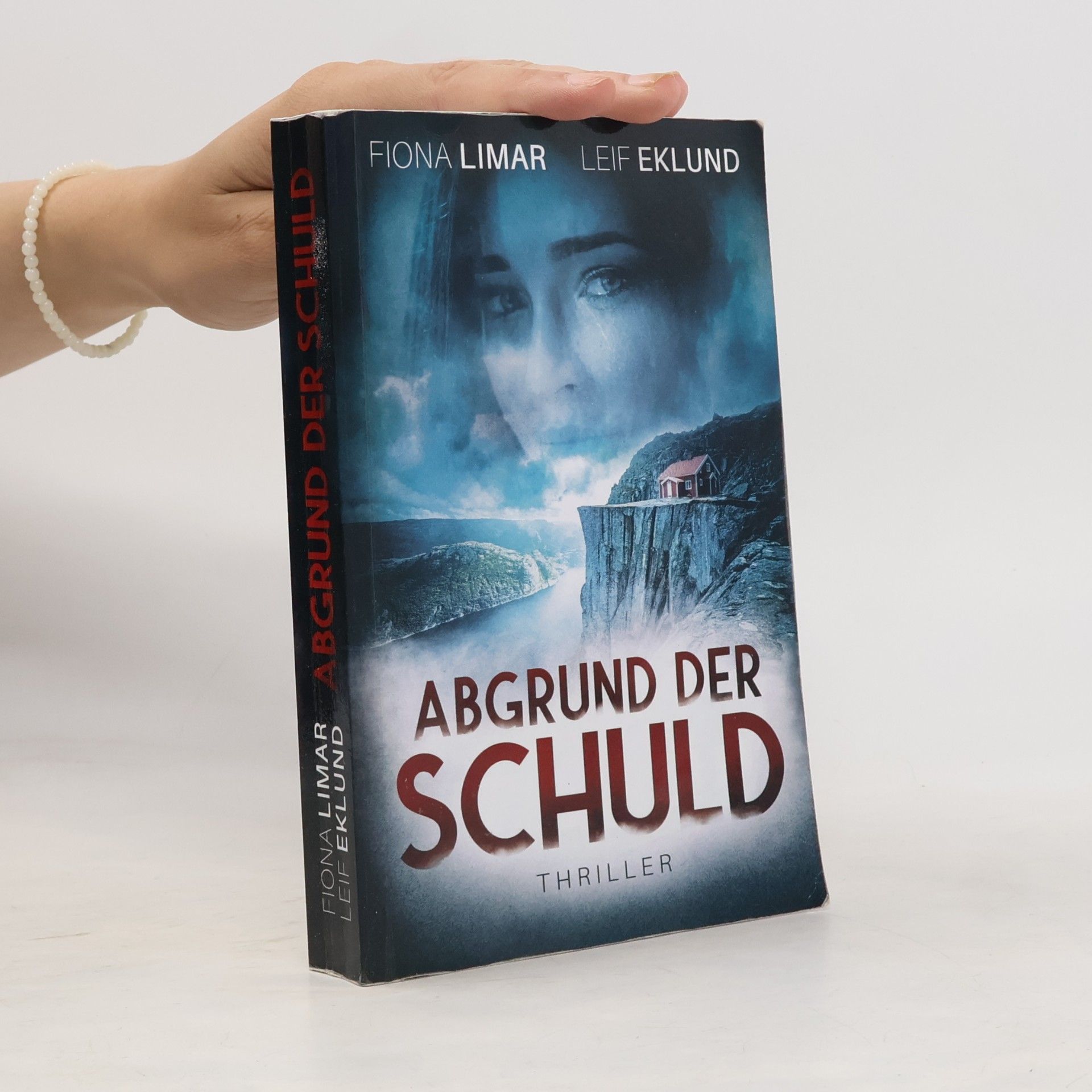 Fiona Limar Abgrund der Schuld
