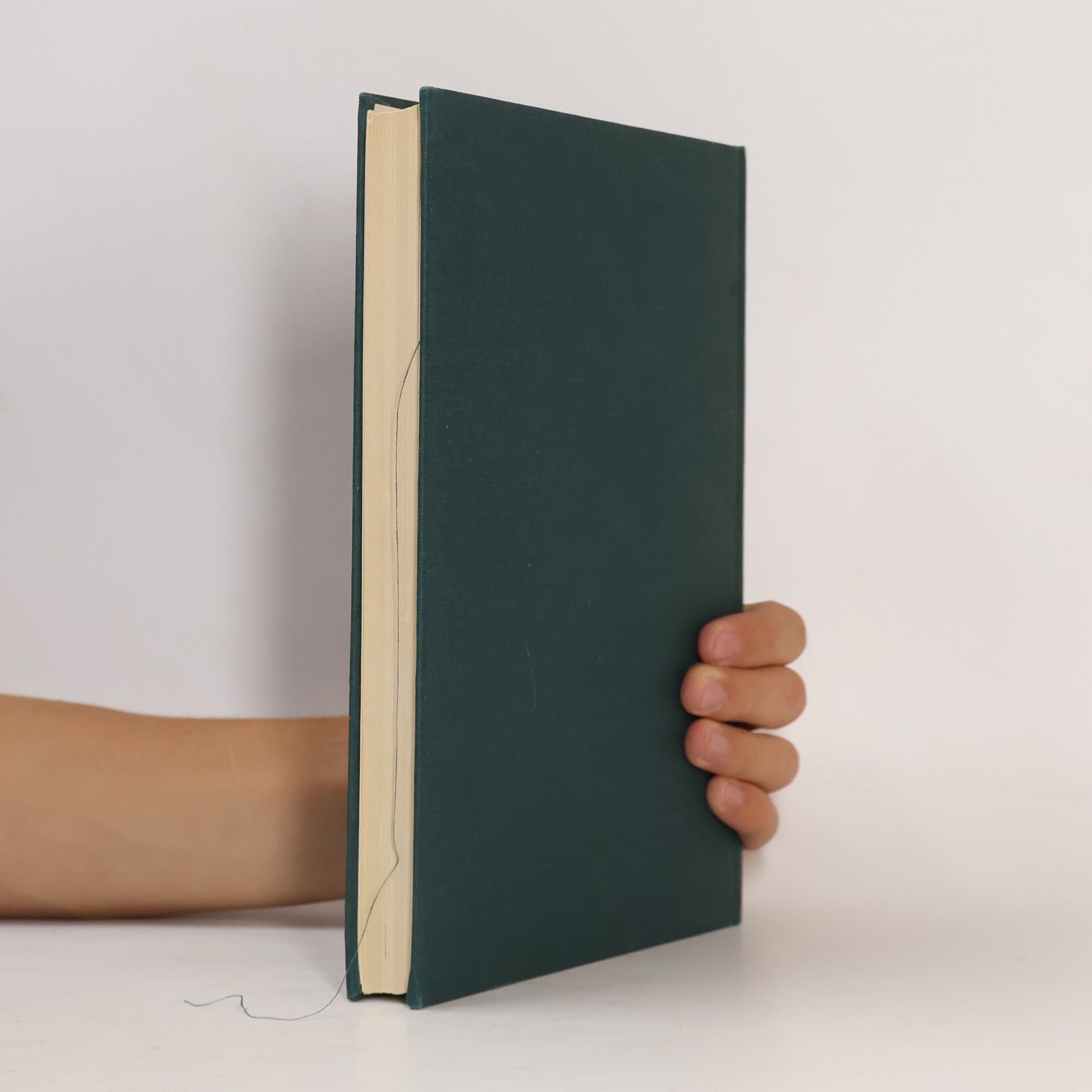 Autorenkollektiv Monumentorum Tunela: Ochrana Pamiatok 12