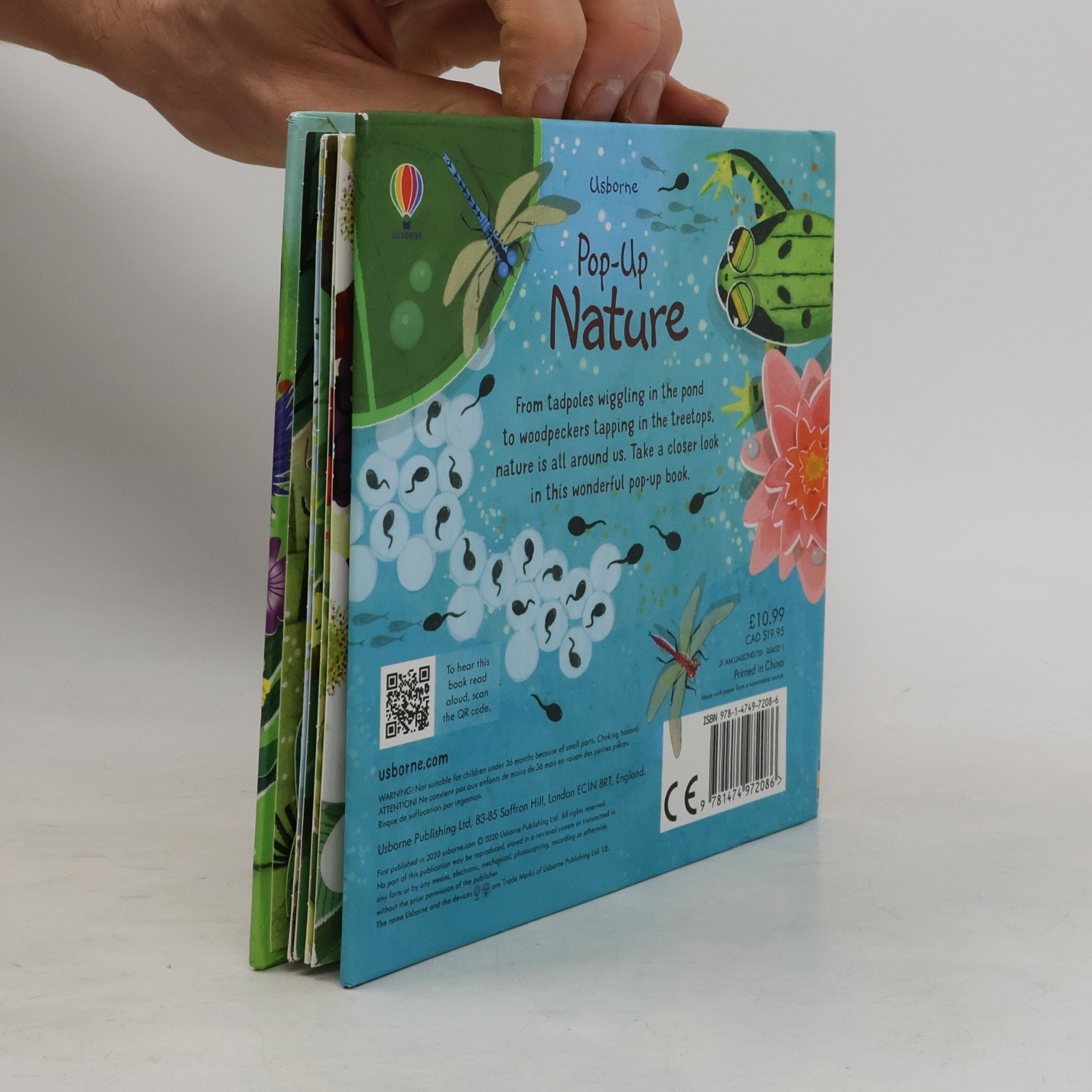 Anna Milbourne Pop-up Nature