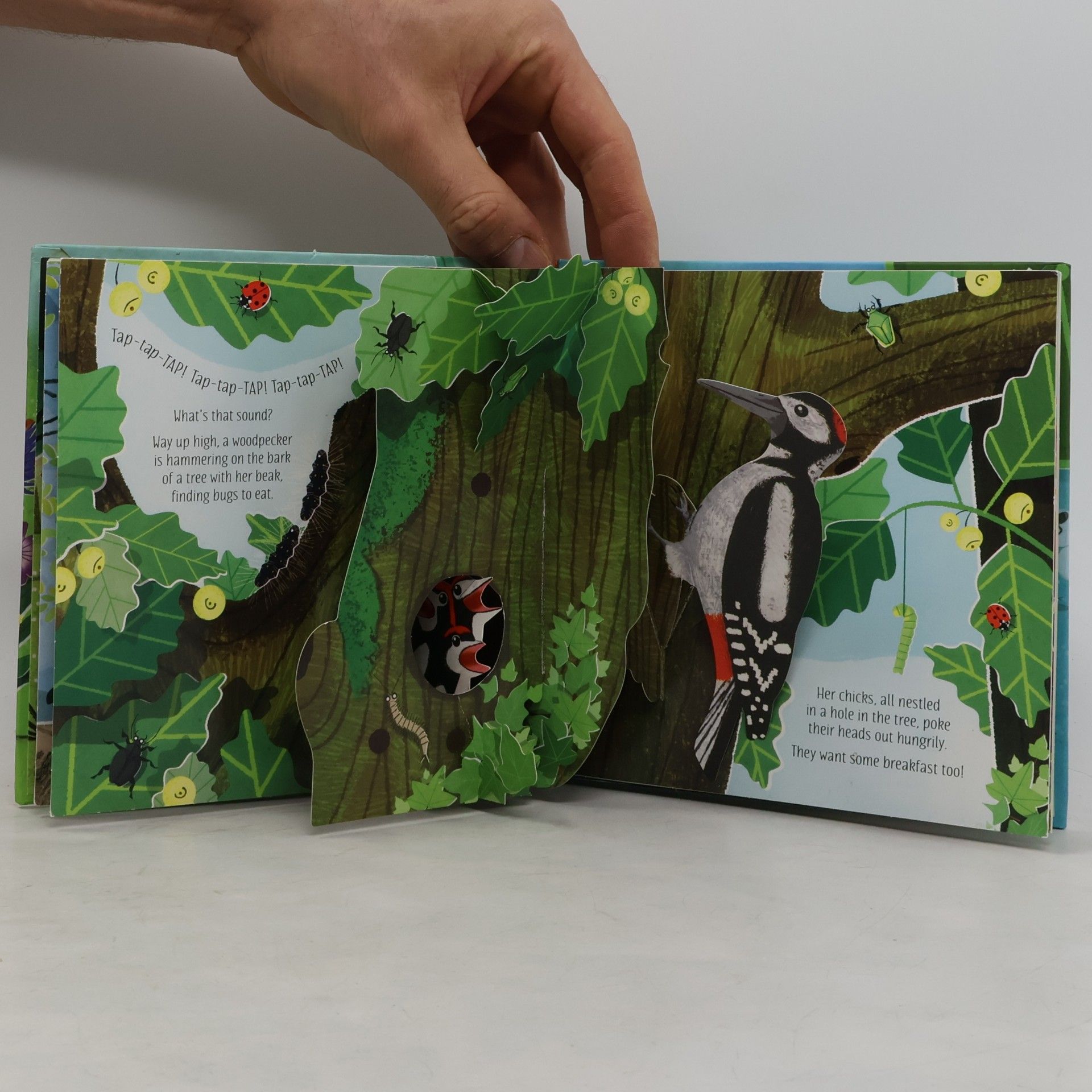 Anna Milbourne Pop-up Nature