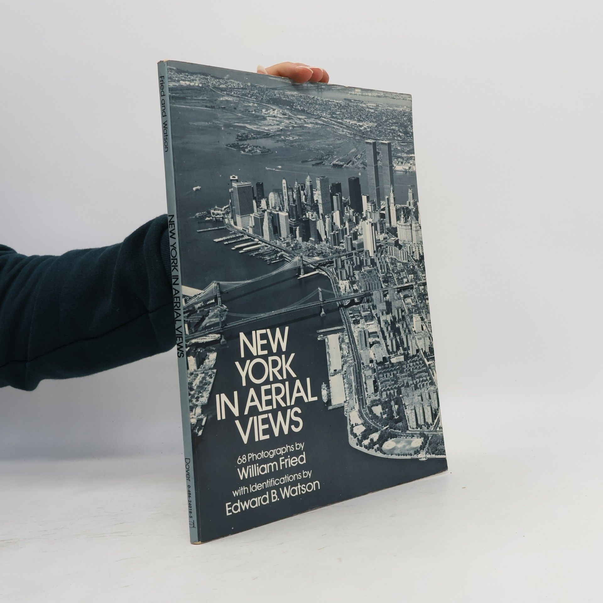 William Fried New York In Aerial Views