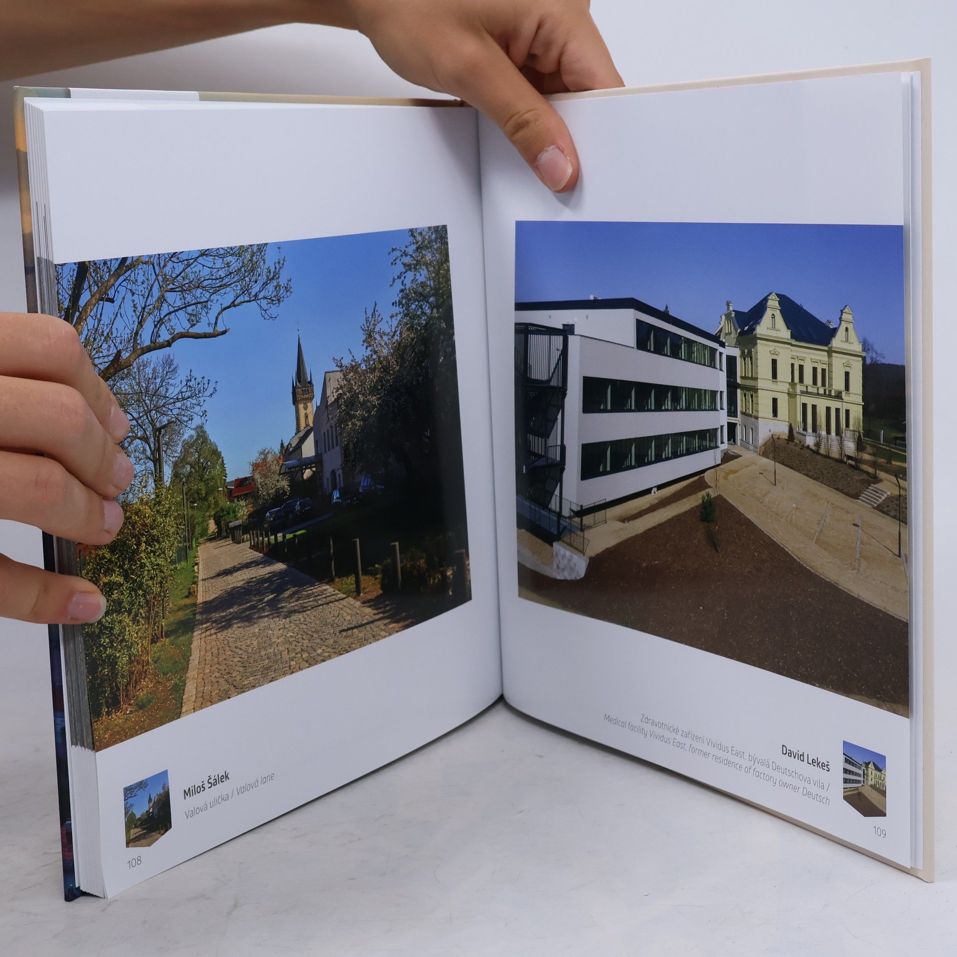 Kolektiv autorů Dvůr Králové nad Labem ve fotografii