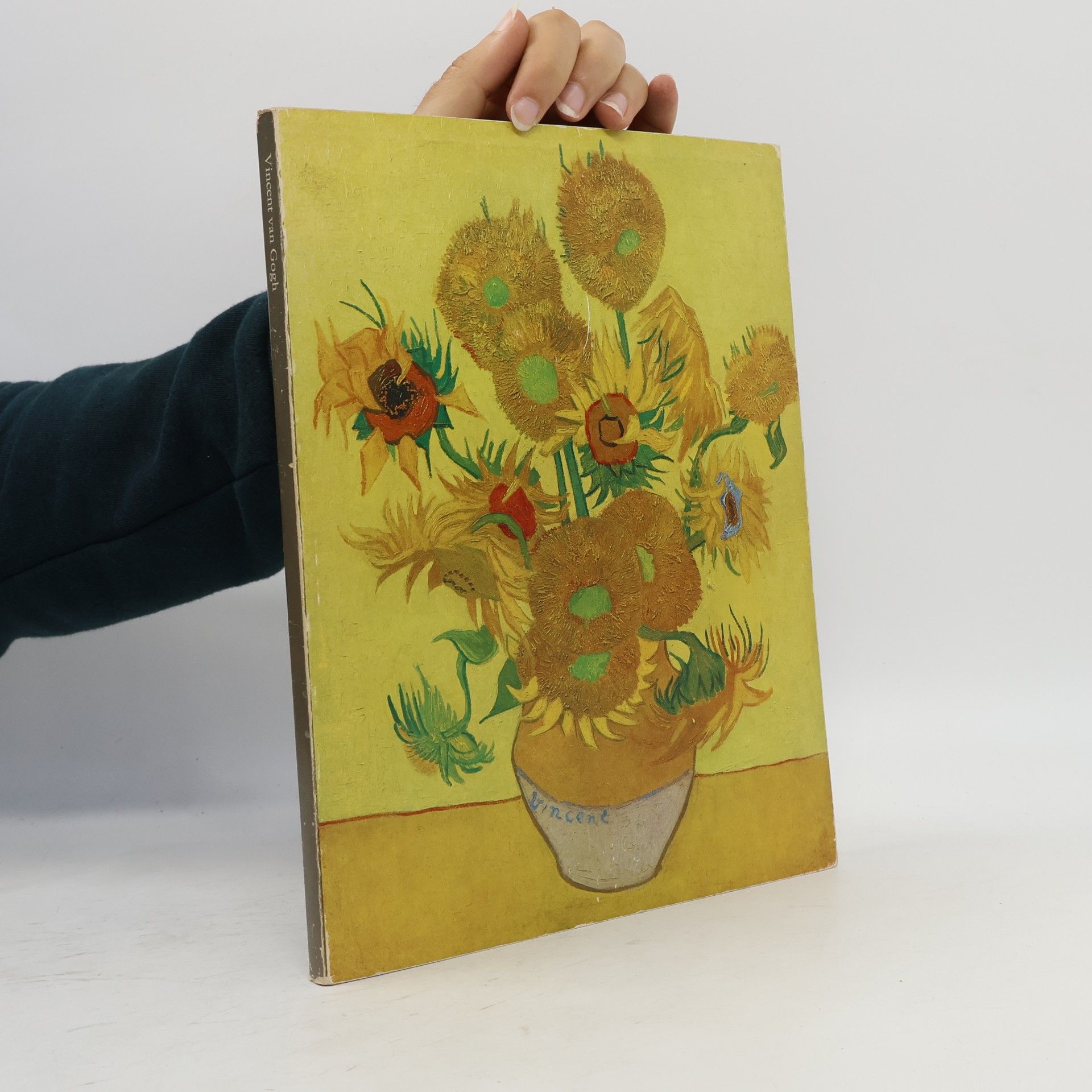 Kolektiv autorů Vincent van Gogh