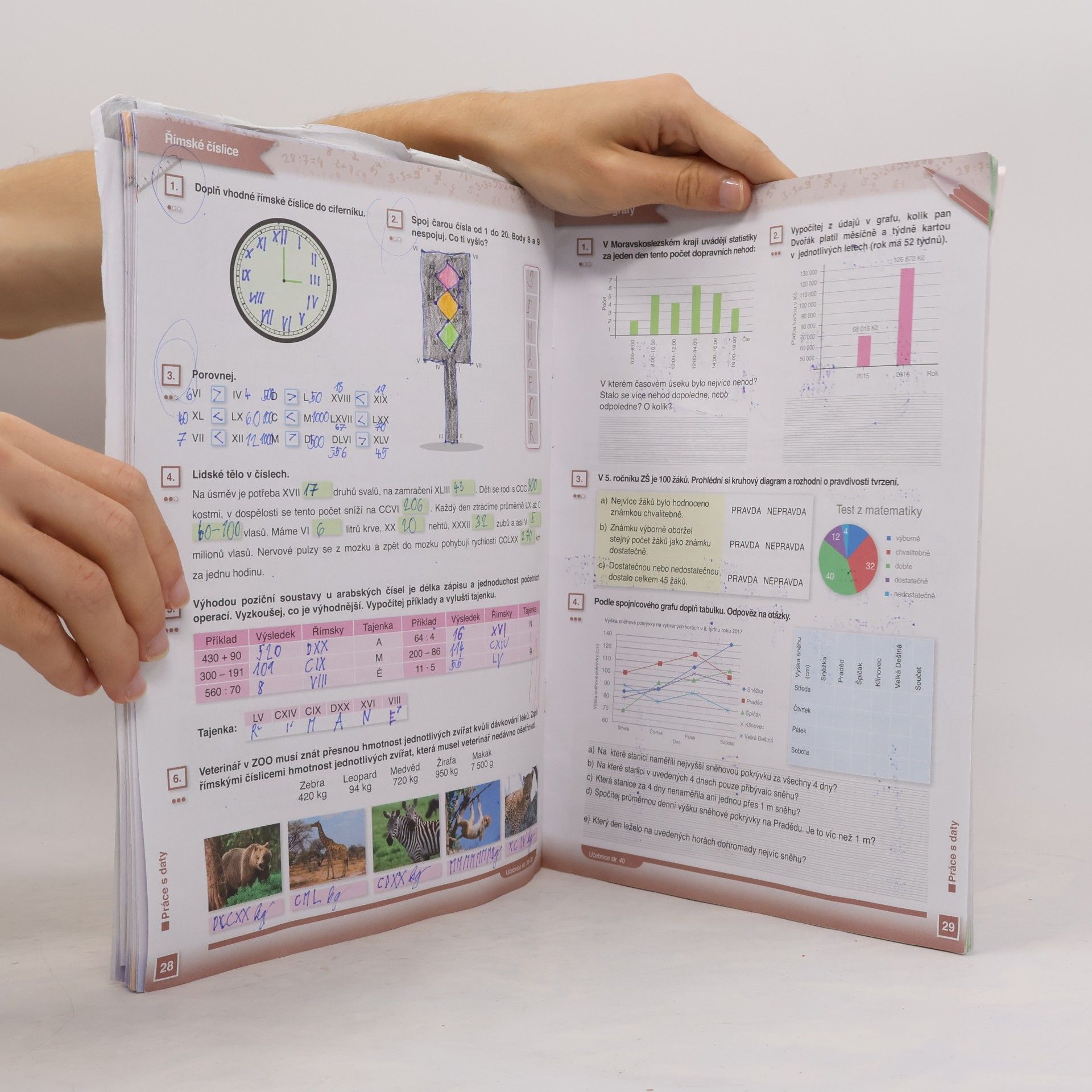 kolektiv Hravá matematika 5 I.díl Pracovní sešit