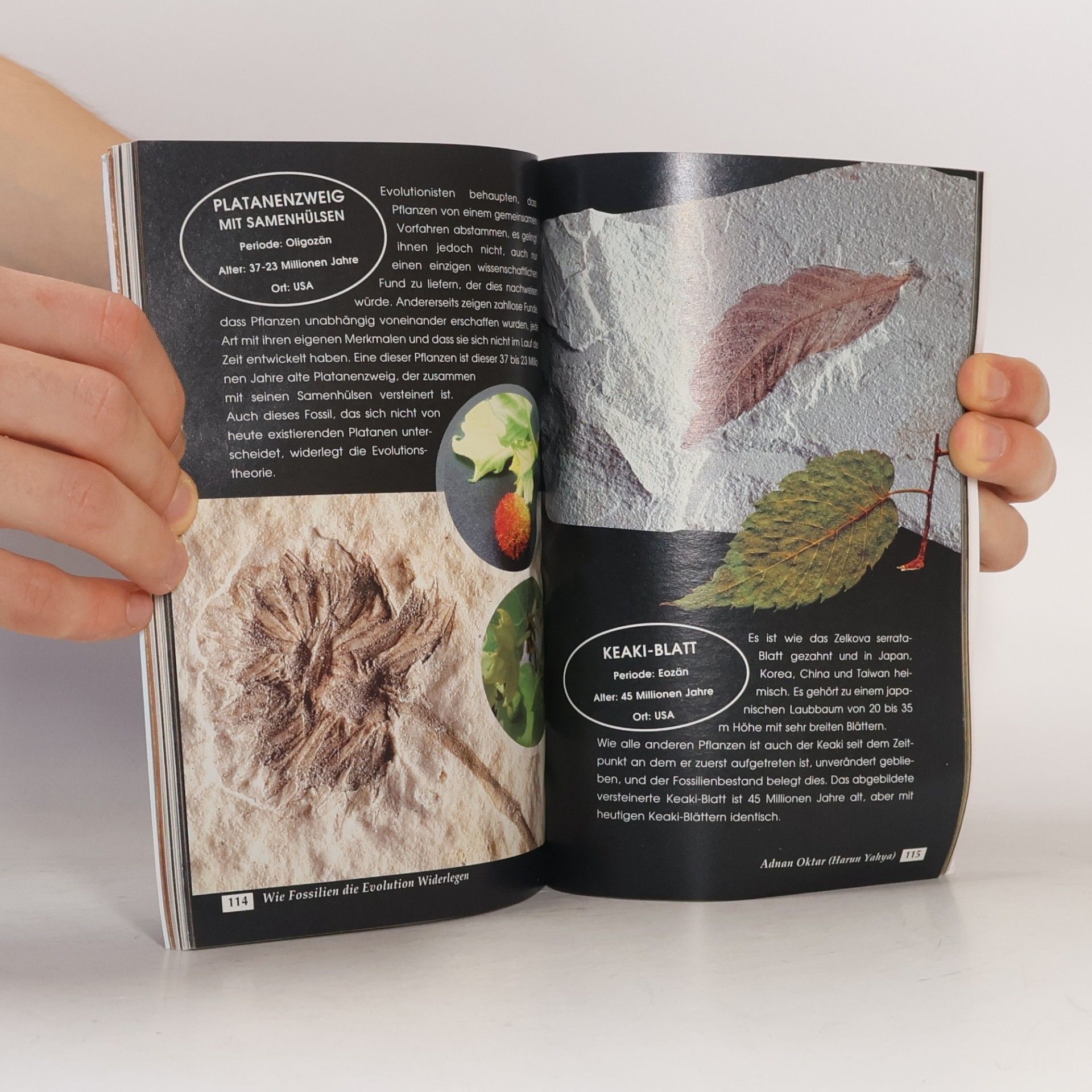 Hârun Yahya Wie Fossilien die Evolution widerlegen
