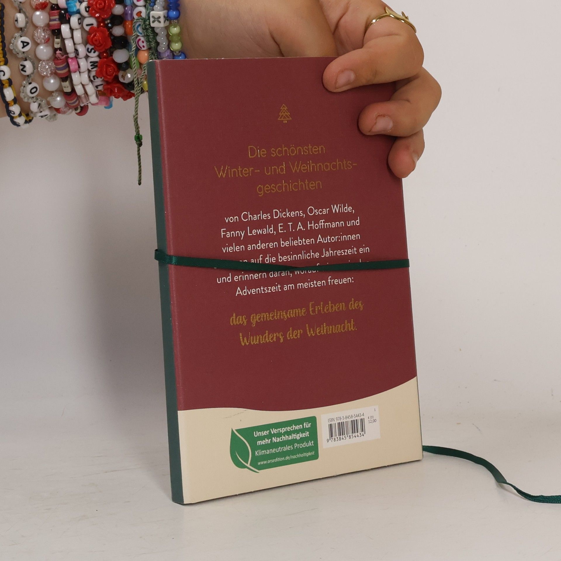 Various authors Literarische Schlittenfahrt