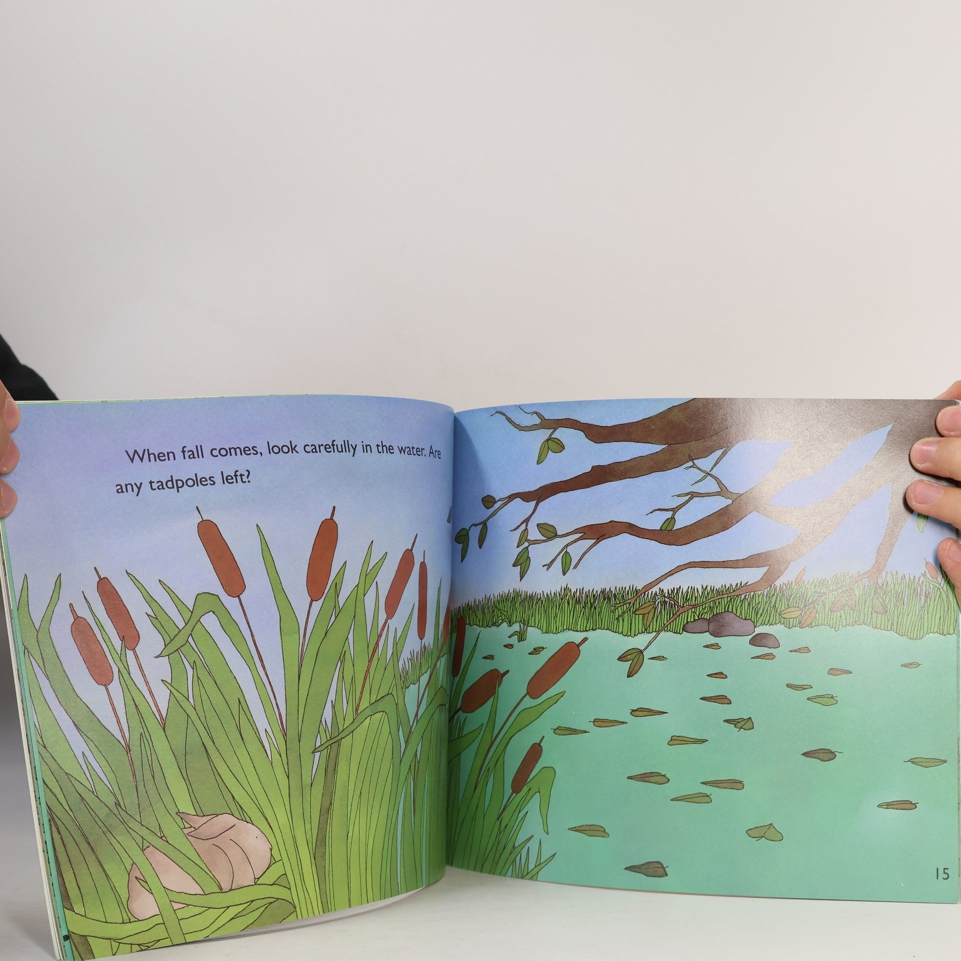 Wendy Pfeffer Let's-Read-and-Find-Out Science - 1: From Tadpole to Frog