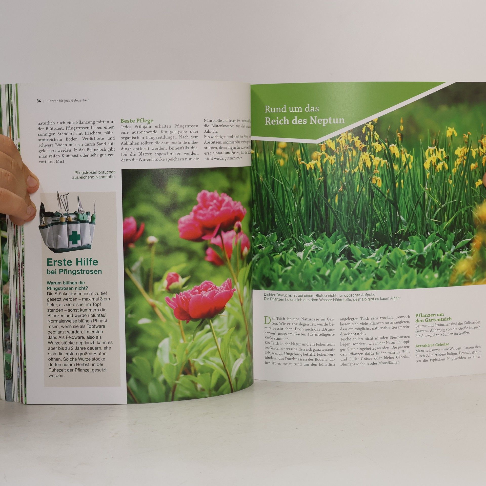 Karl Ploberger Best of der Garten für intelligente Faule