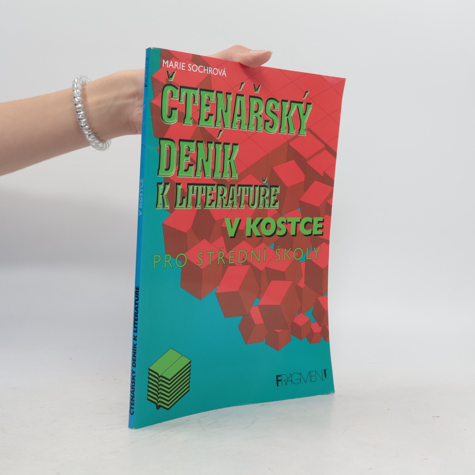 Marie Sochrová Čtenářský deník k Literatuře v kostce