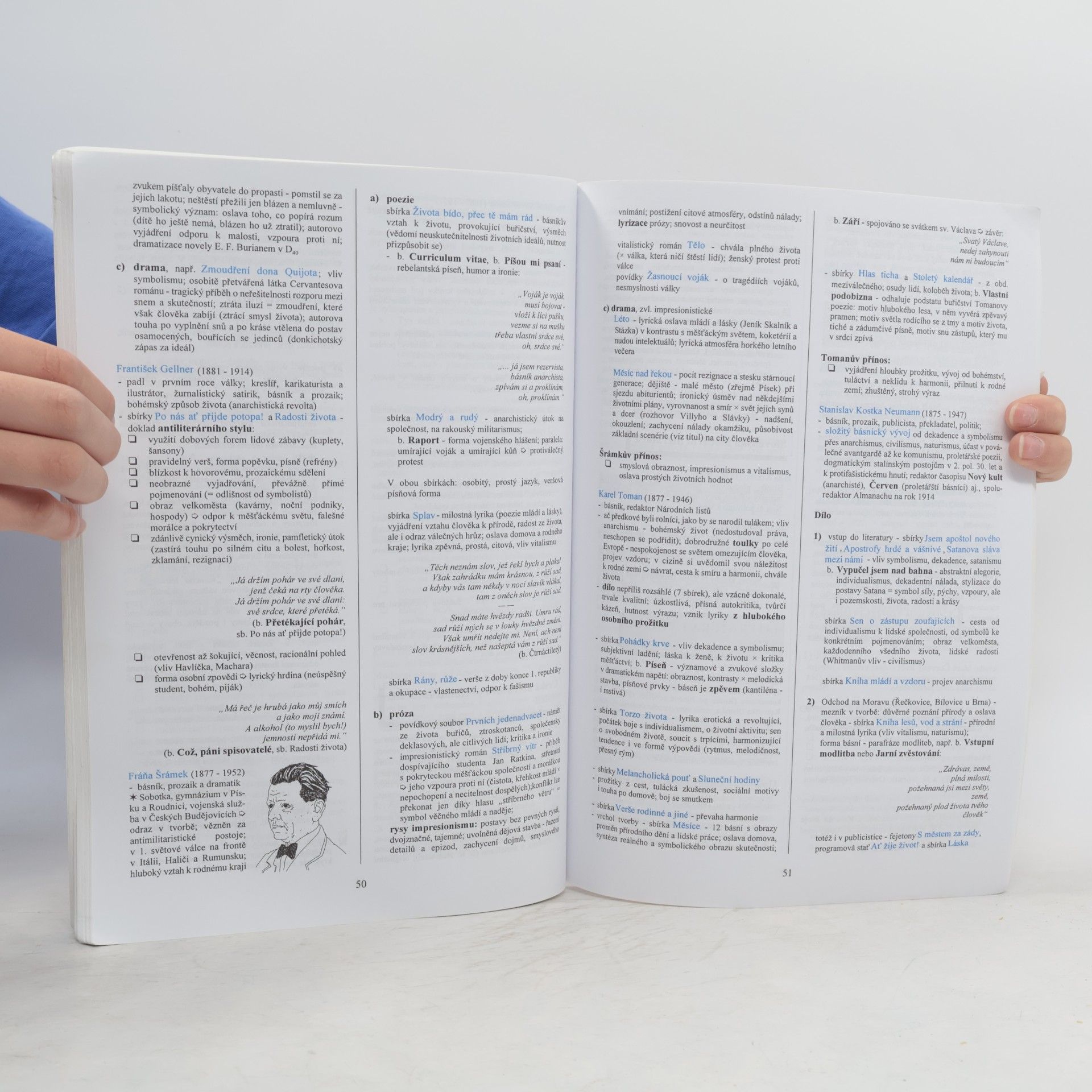 Marie Sochrová Literatura v kostce pro střední školy